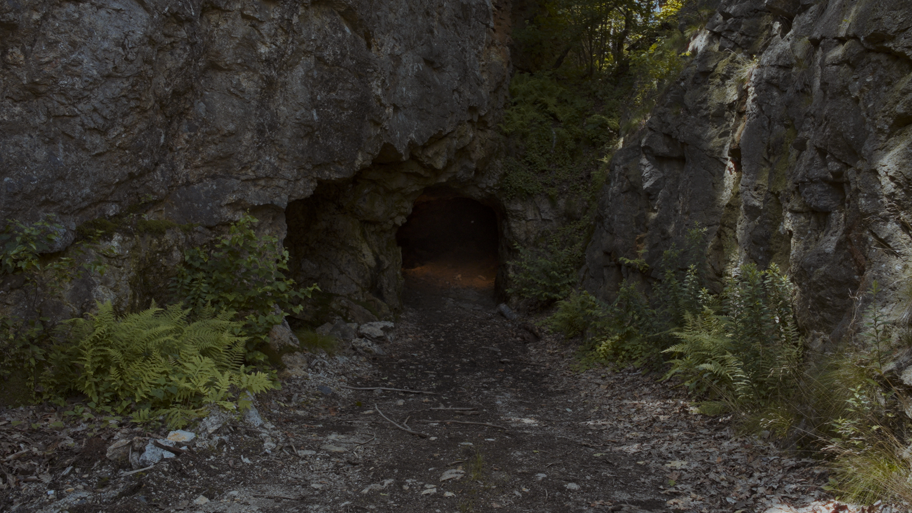 Fund Jed and Eli Allen's Damnationland film "MINE." campaign photo, 4 of 5
