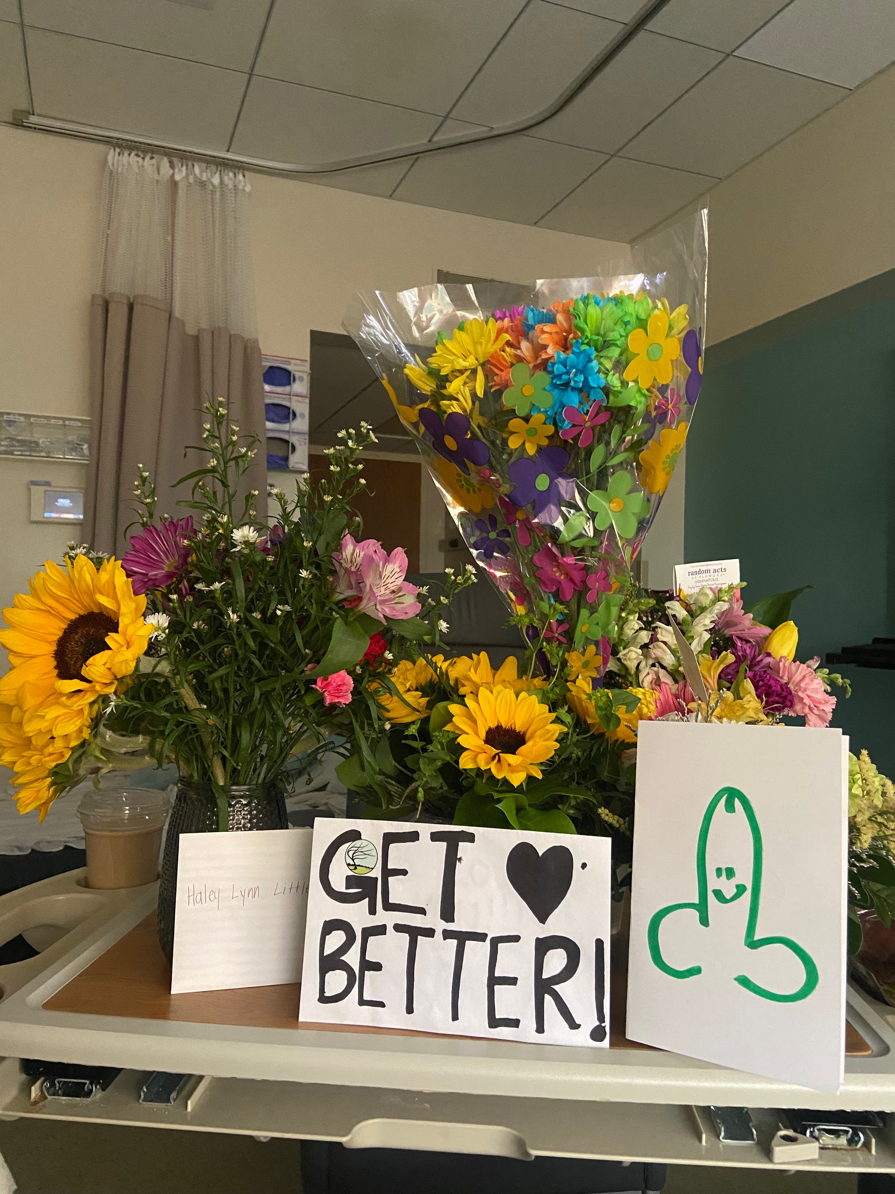 Support Haley’s road to recovery after her crash campaign photo, 5 of 7