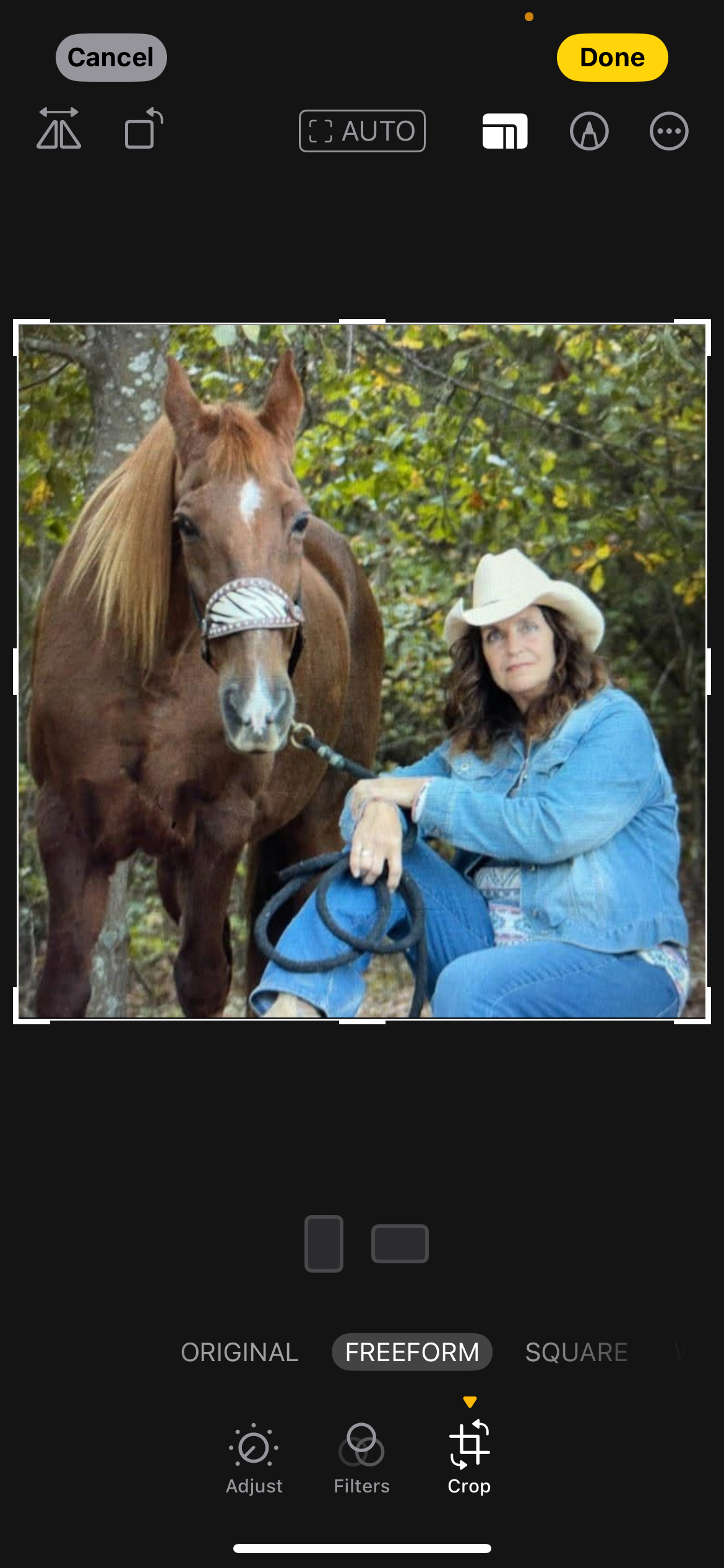Honoring Top: Support for Mrs. Brenda's Heart Horse campaign photo, 4 of 5