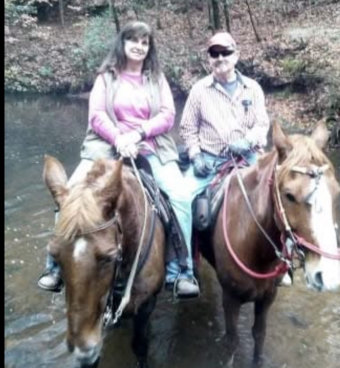 Honoring Top: Support for Mrs. Brenda's Heart Horse campaign photo, 2 of 5