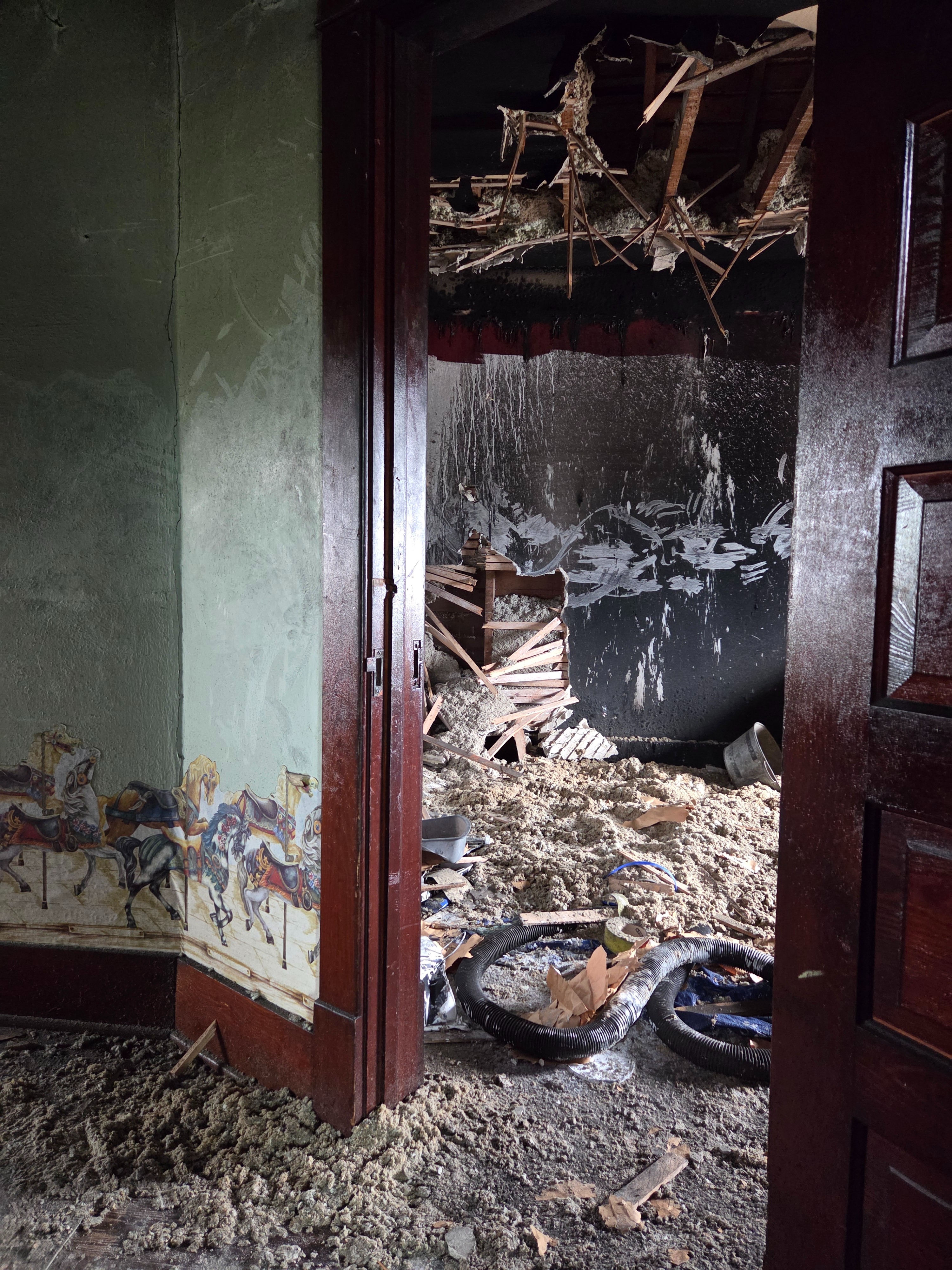 Help Laura with home repairs after lightning strike campaign photo, 7 of 7