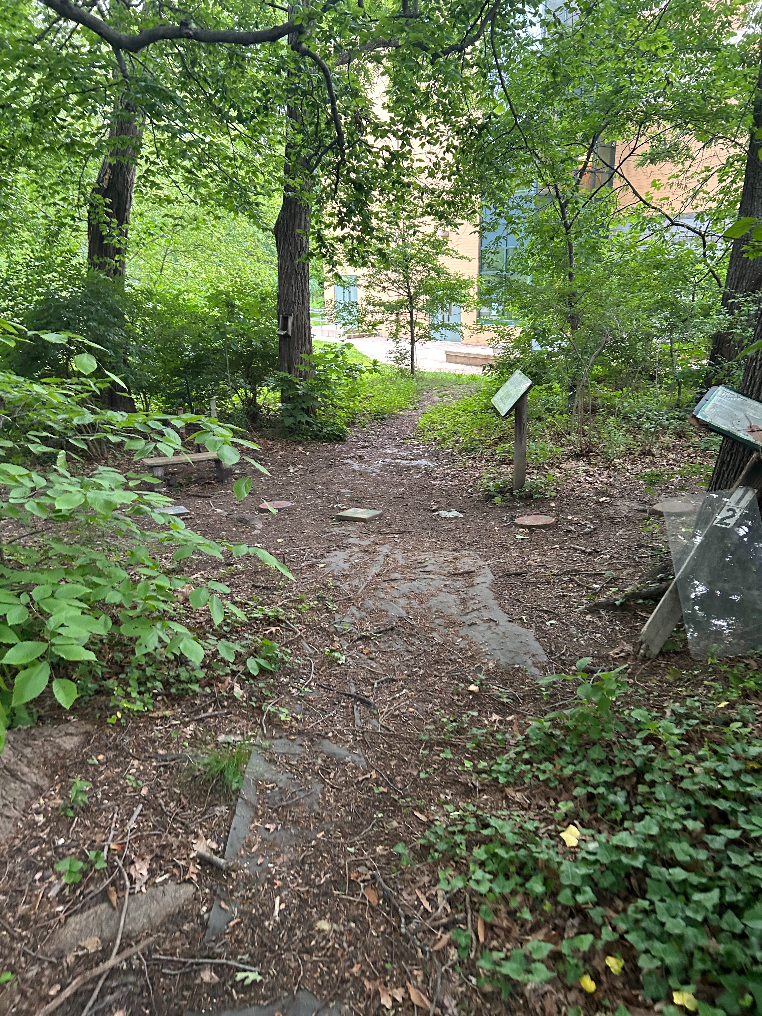 Rock Creek Forest Elementary Nature Center Renovation campaign photo, 2 of 4
