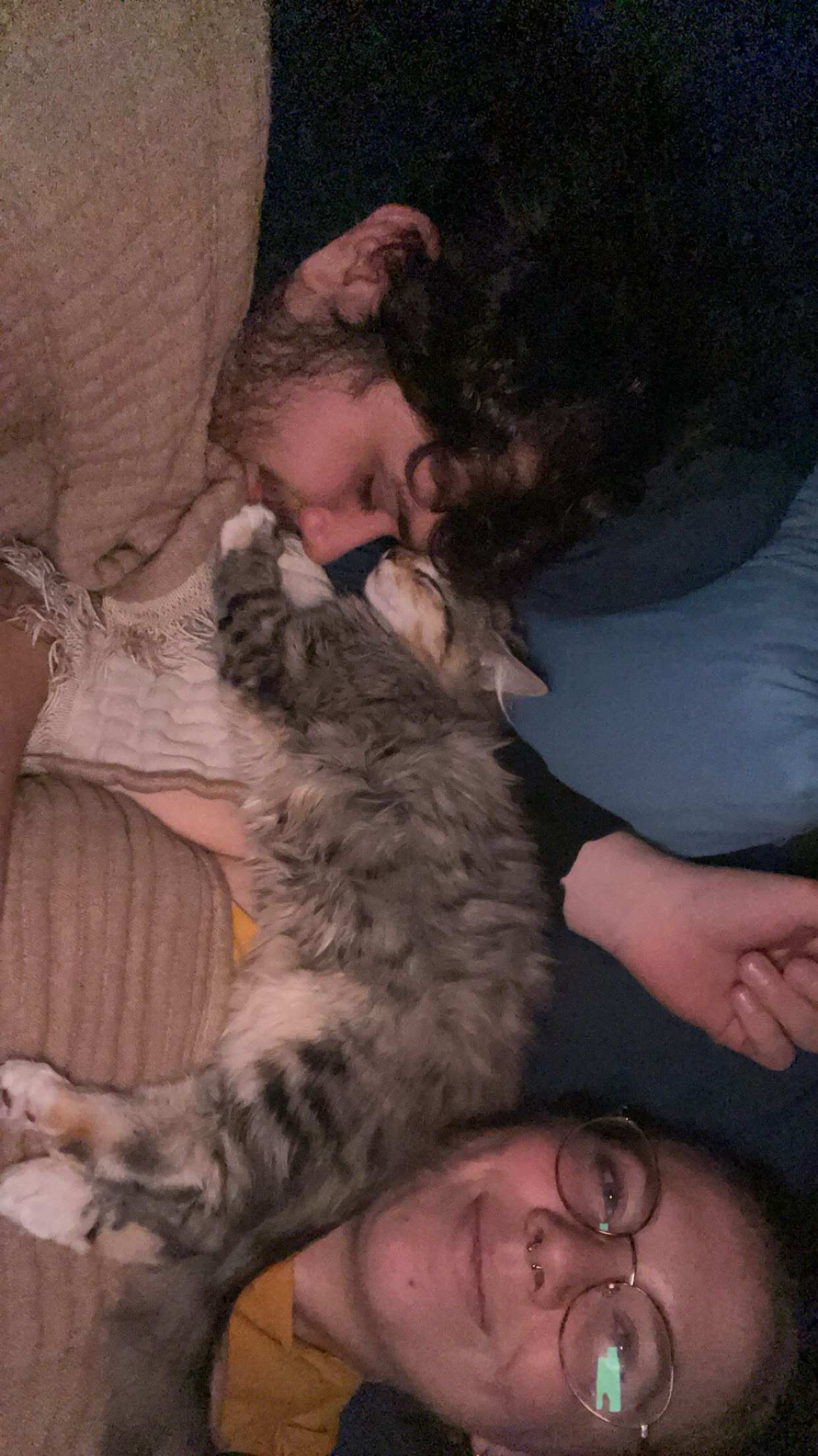Urgent Surgery for Garfunkel campaign photo, 2 of 5