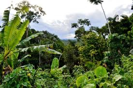 My once in a lifetime chance- Ecuador expedition campaign photo, 4 of 7