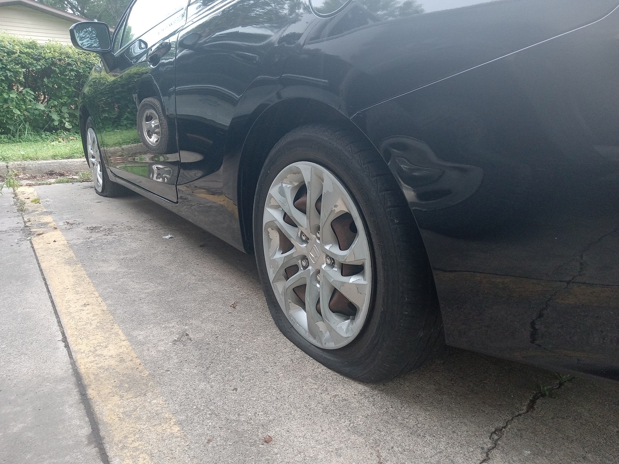 User-uploaded image 1