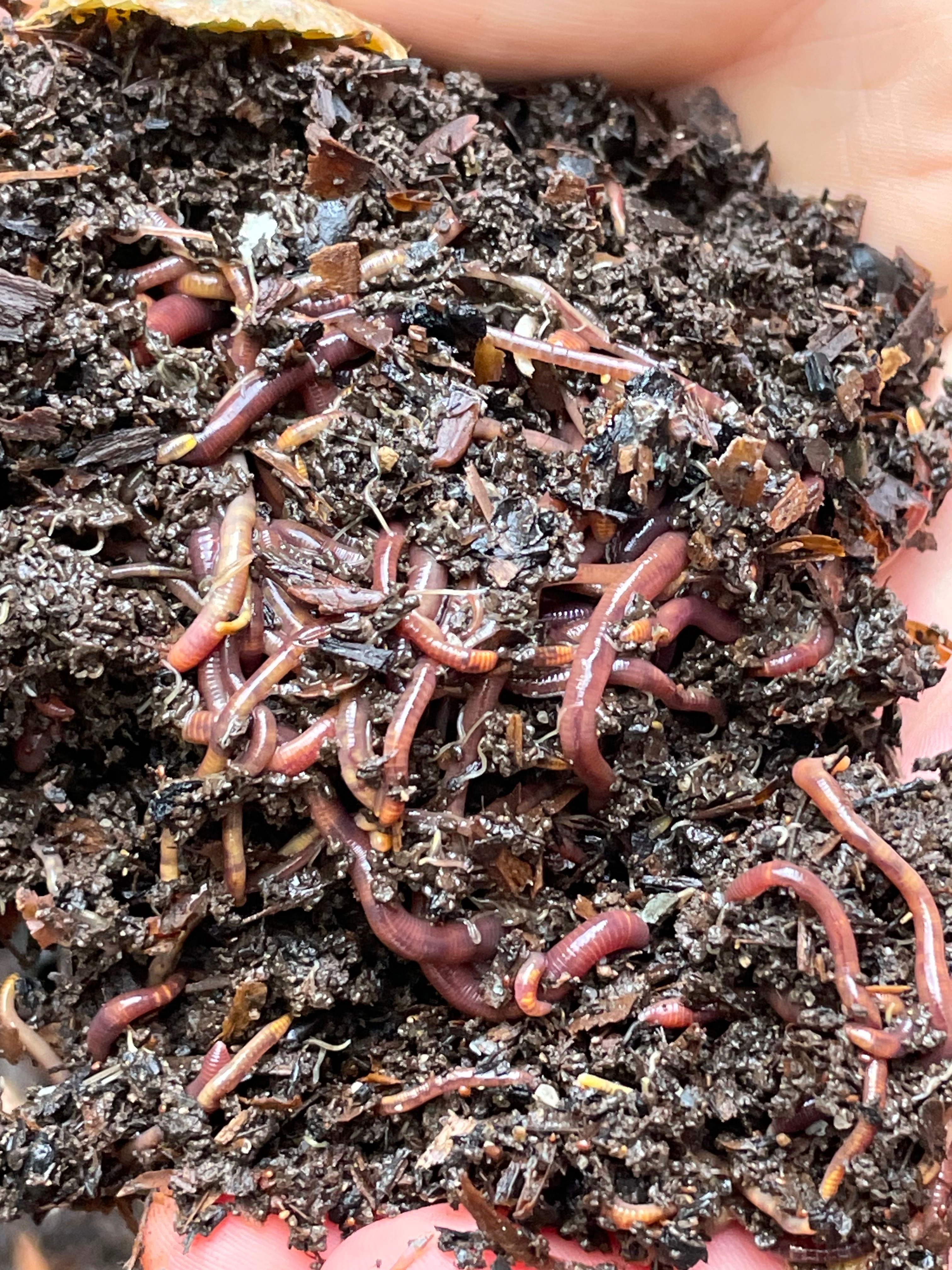 Common Ground Soil Services campaign photo, 5 of 7
