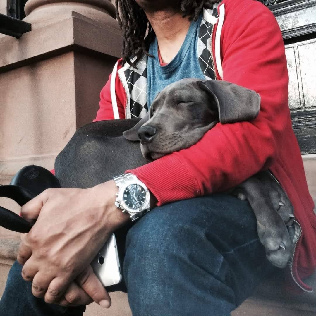 Help Me Say Goodbye to Ms. Phylis Wheatley...my Great Dane campaign photo, 2 of 7
