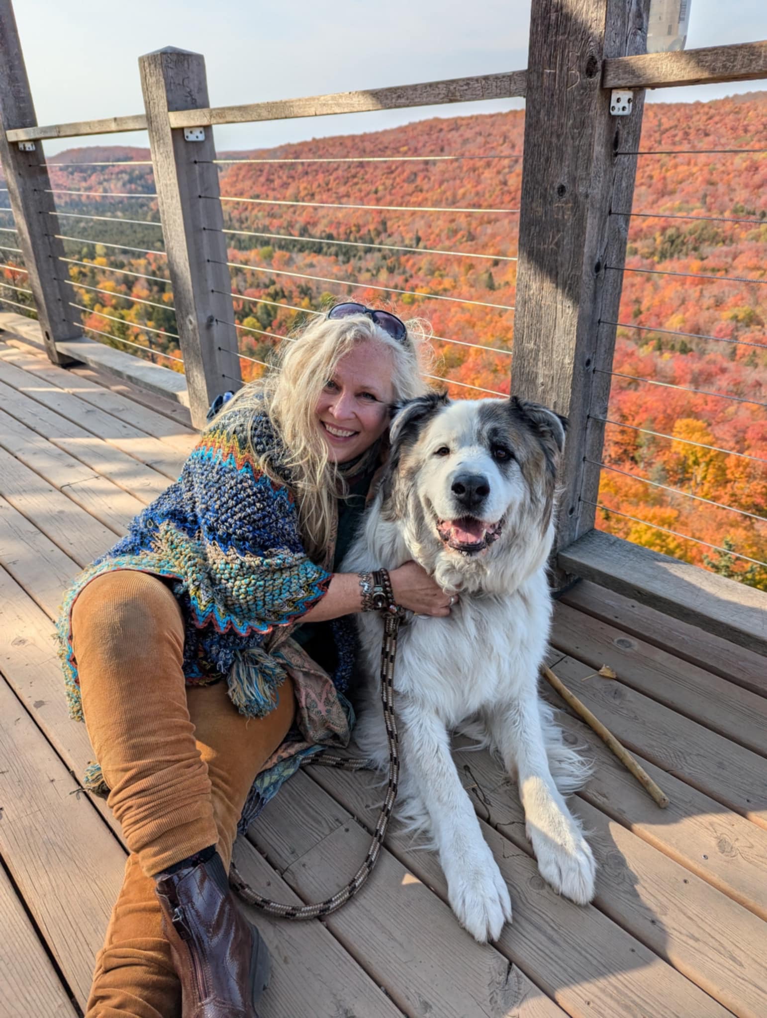 Roof Relief for Rachelle and Her Furry Friends campaign photo, 7 of 8