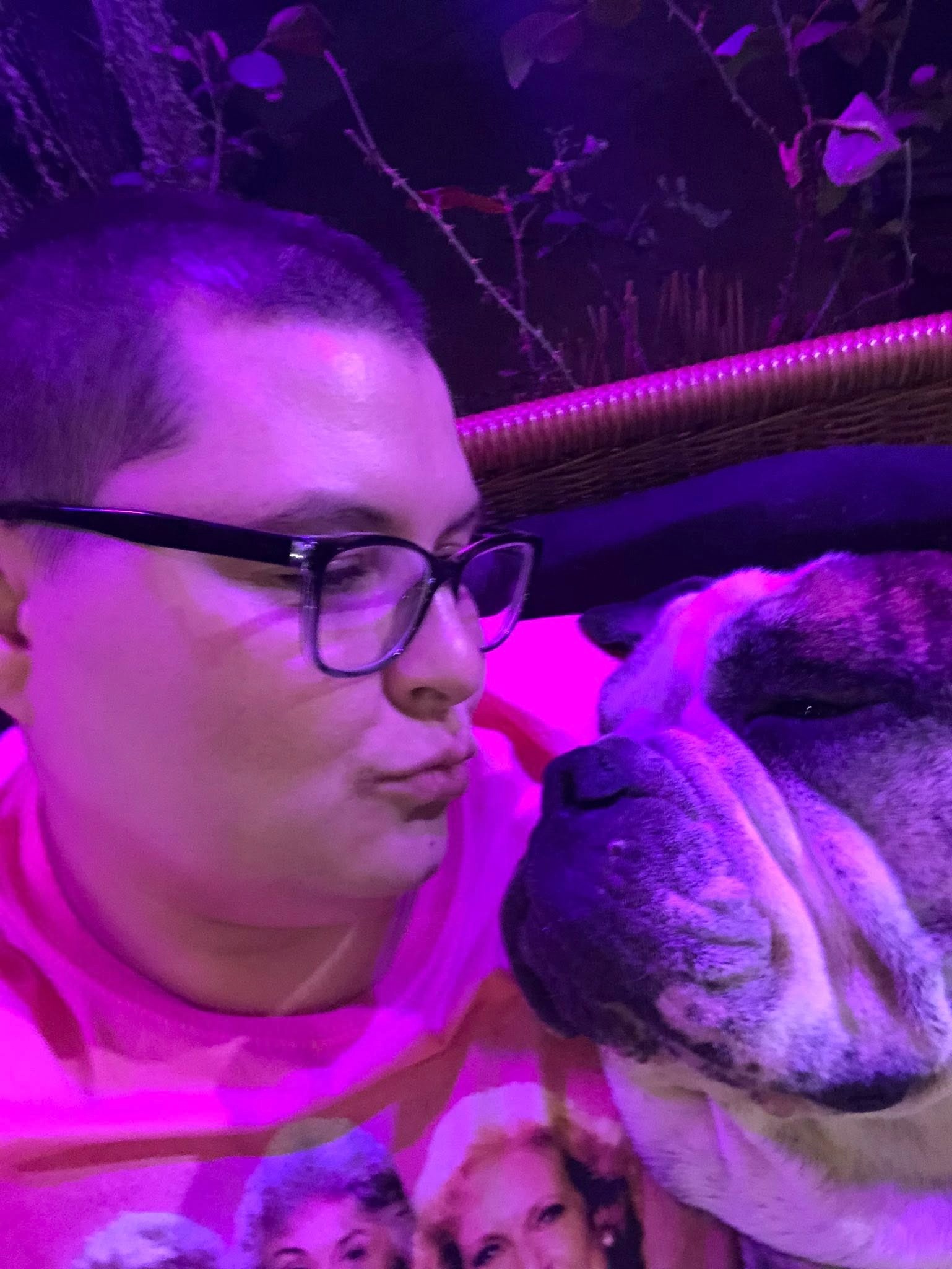 Help HoboNicole with Vet Expenses for Gumbeaux campaign photo, 2 of 8
