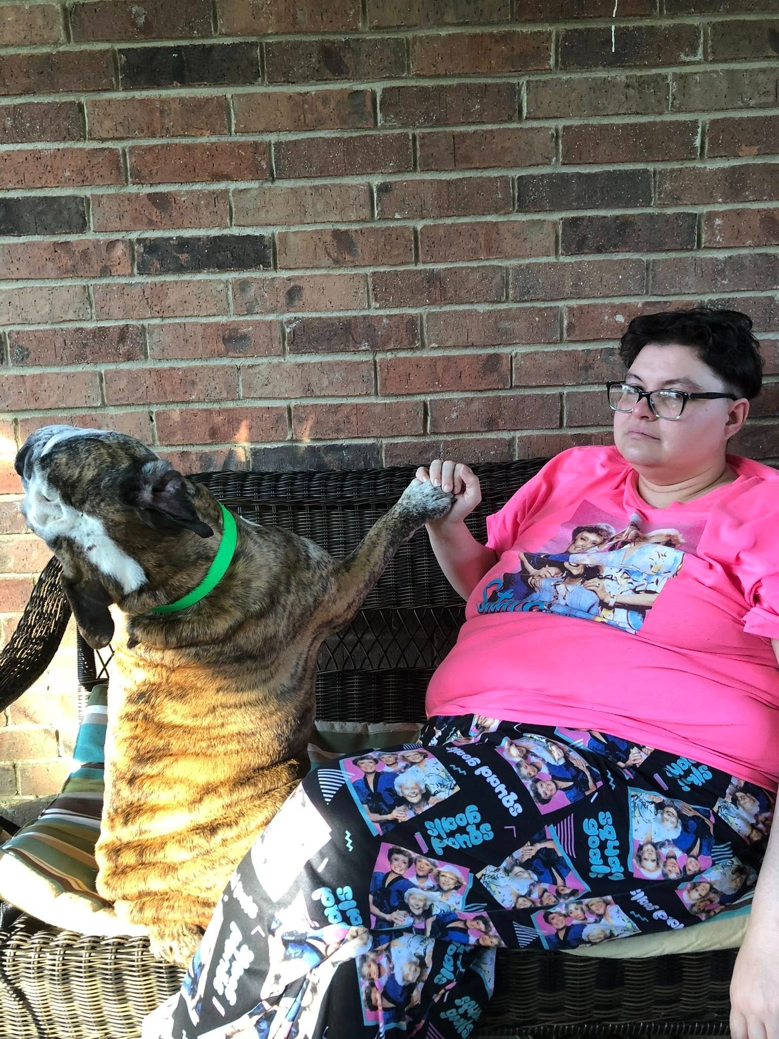 Help HoboNicole with Vet Expenses for Gumbeaux campaign photo, 5 of 8
