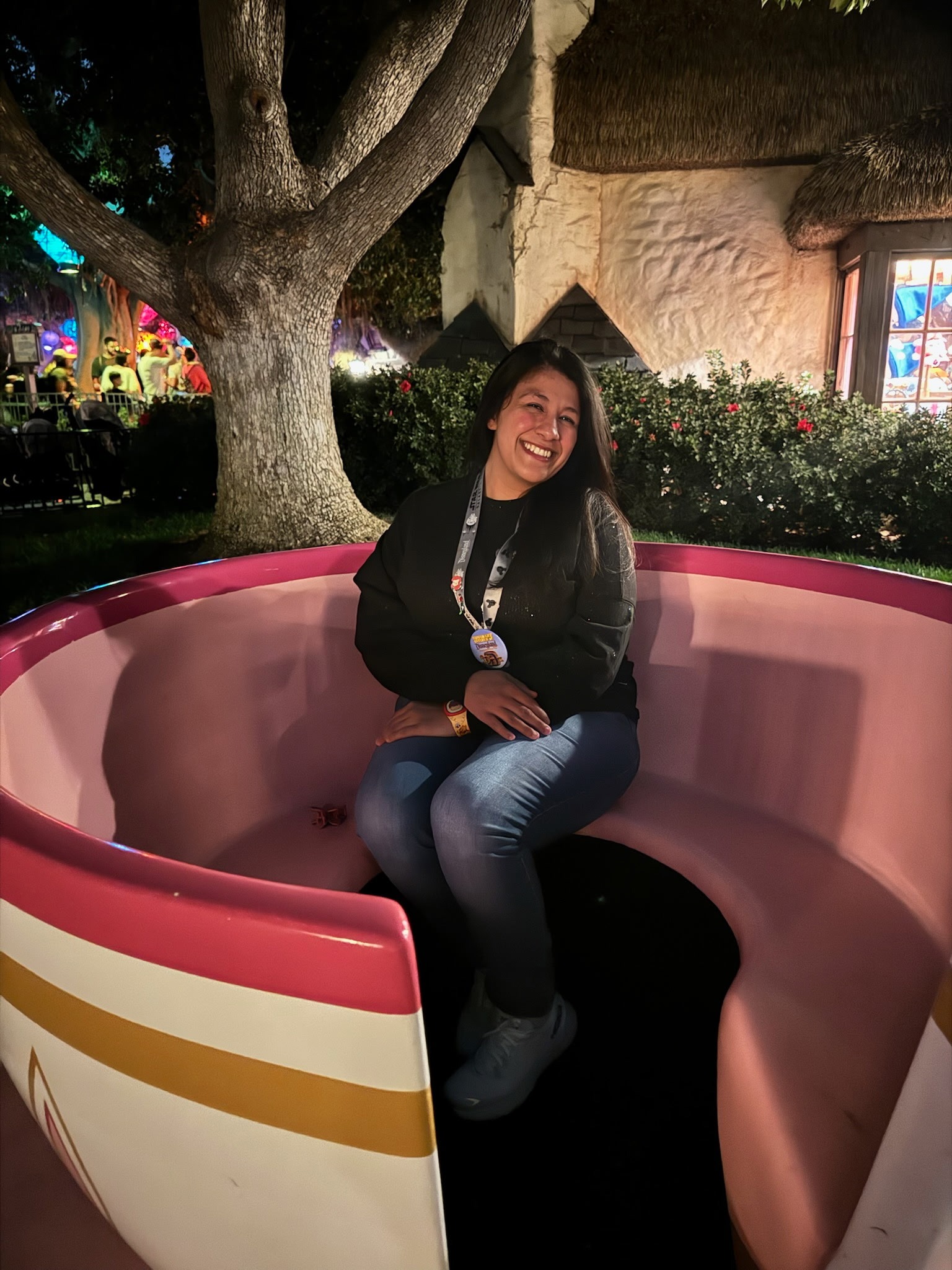 User-uploaded image 2