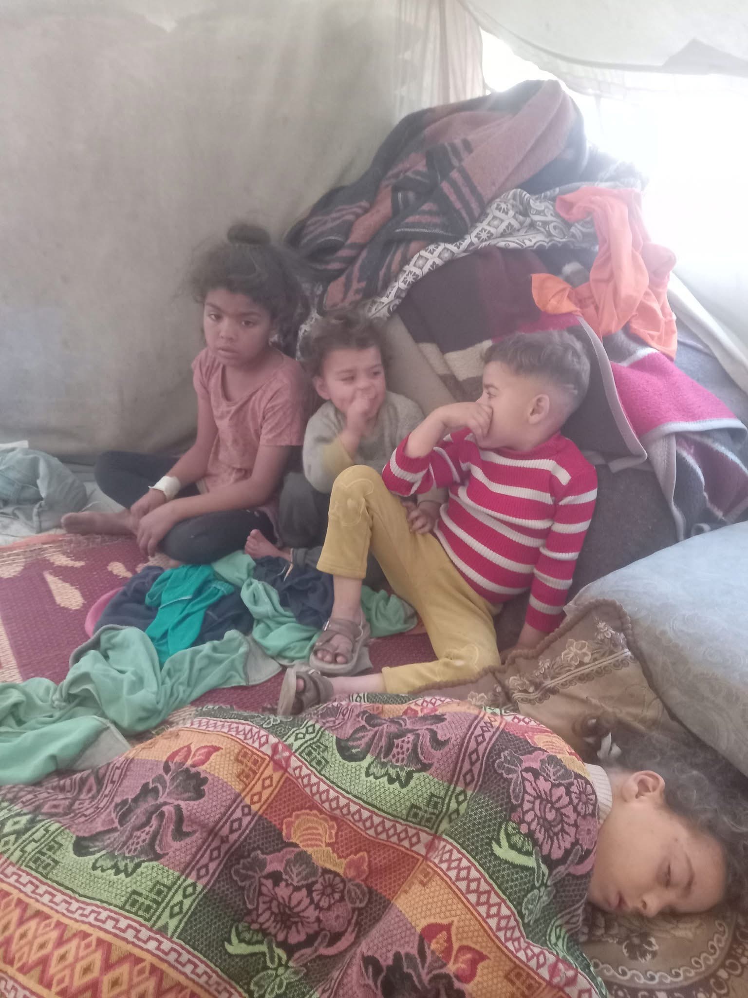 User-uploaded image 1