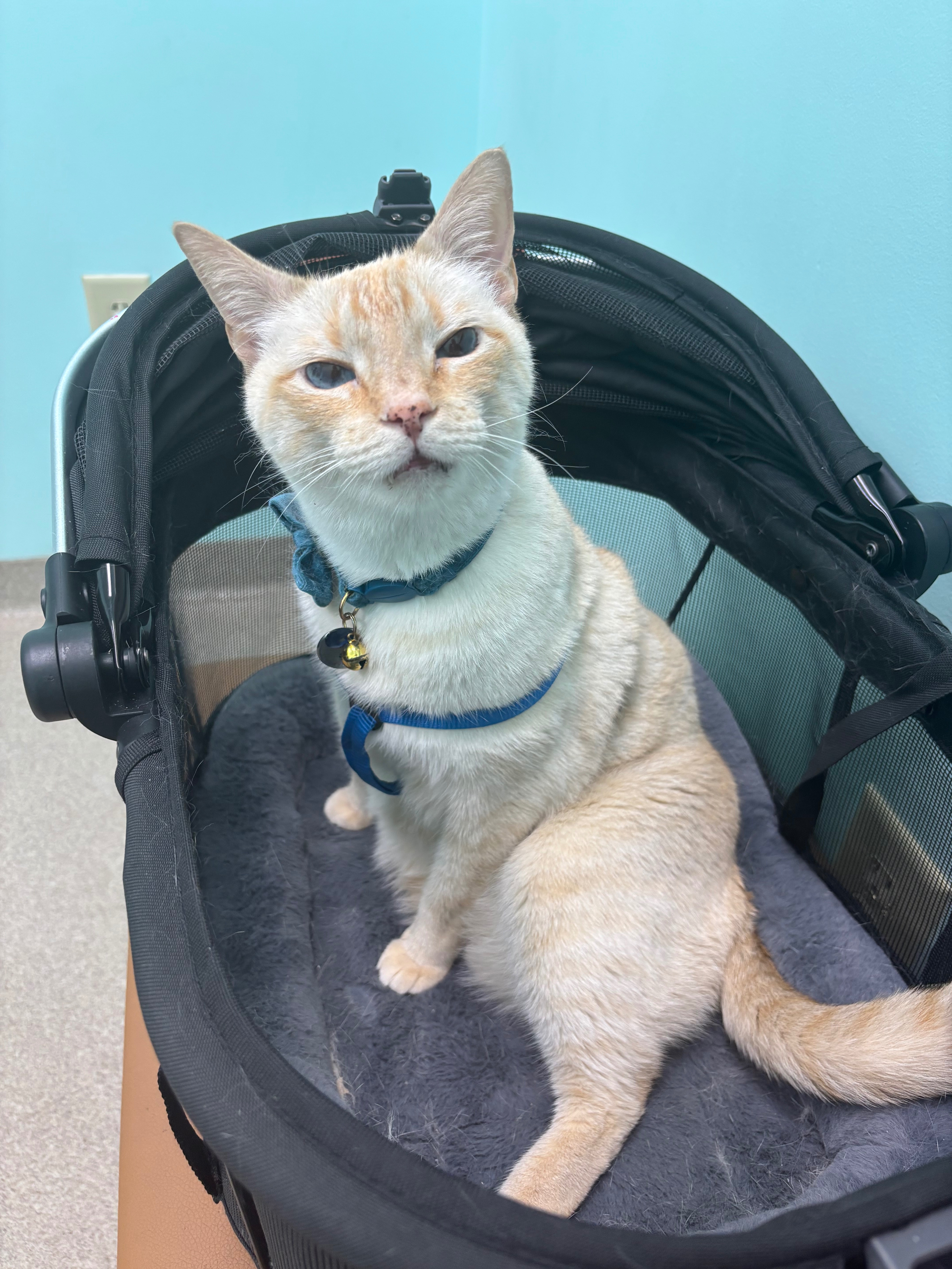 Support Needed for Urgent Surgery campaign photo, 5 of 6