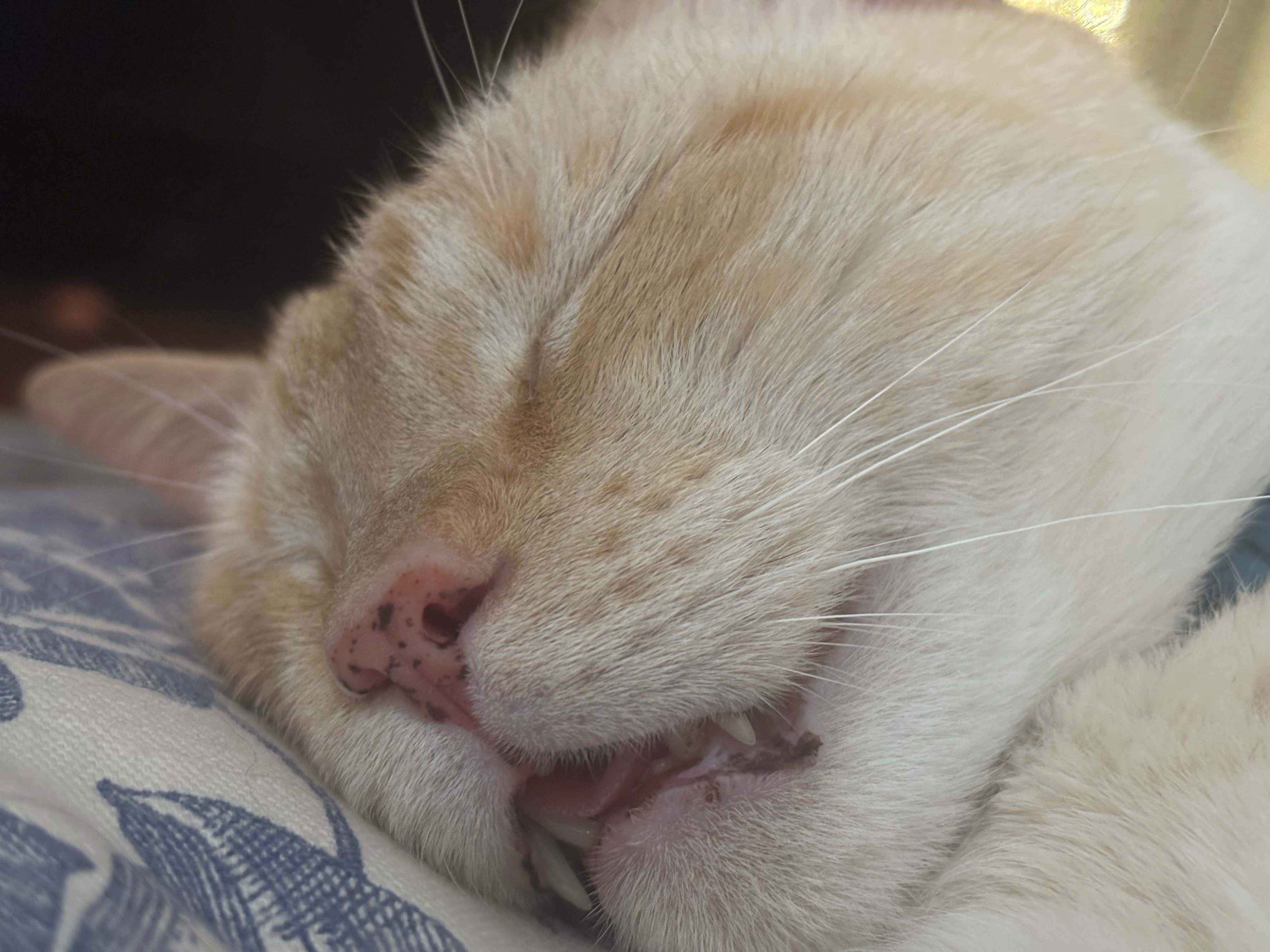 Support Needed for Urgent Surgery campaign photo, 2 of 6