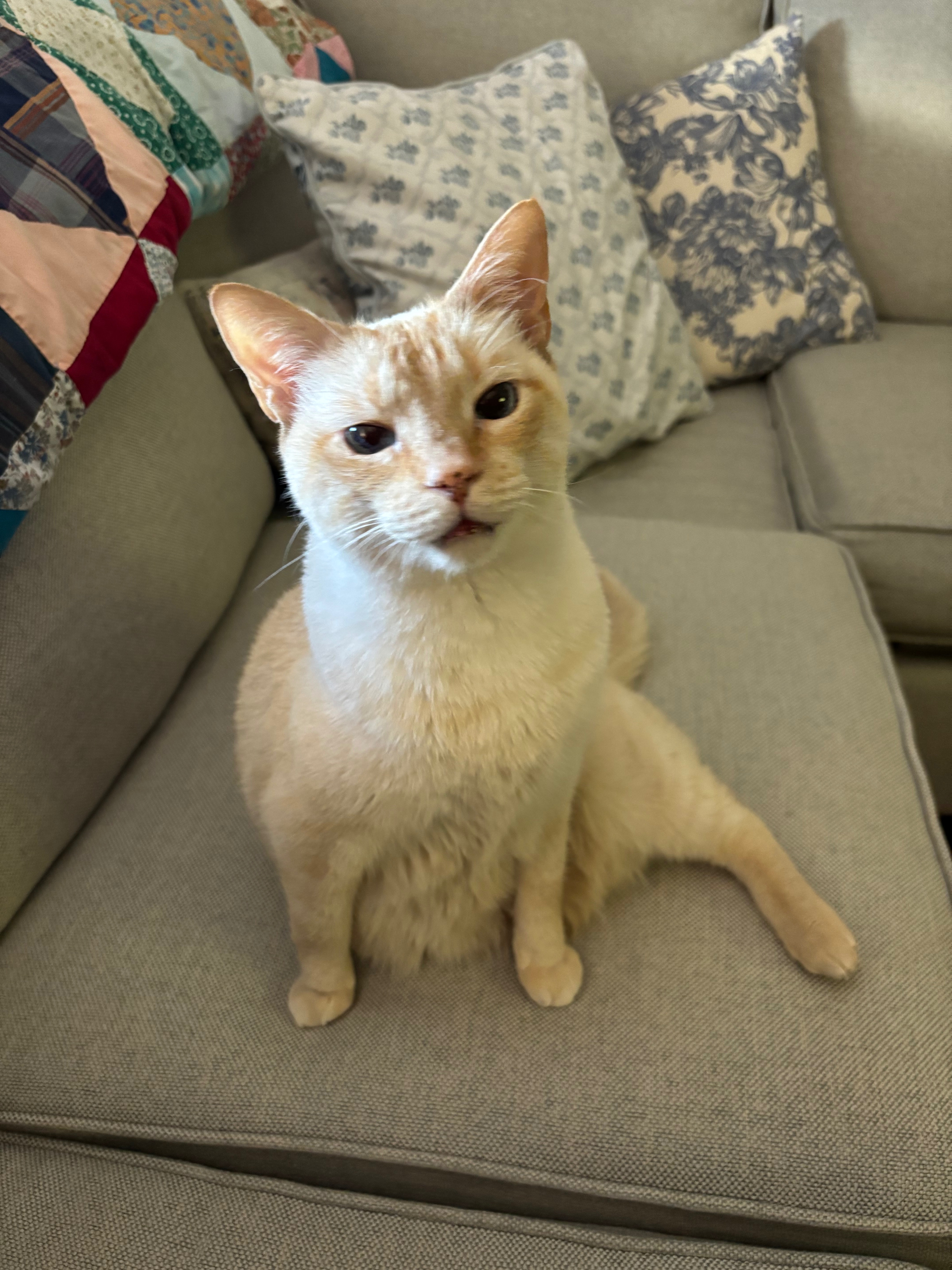 Support Needed for Urgent Surgery campaign photo, 4 of 6