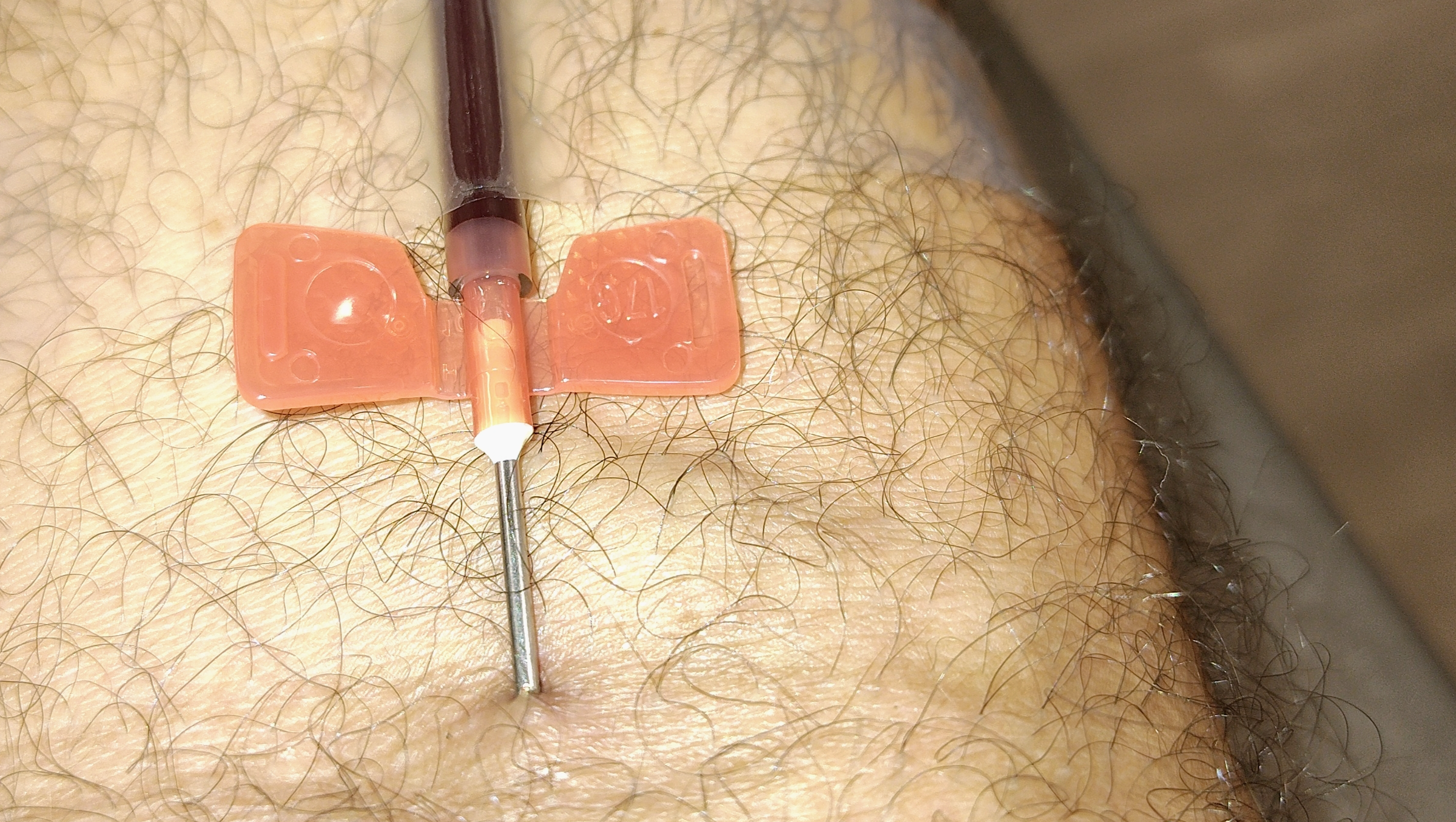 Giving what I can. photo