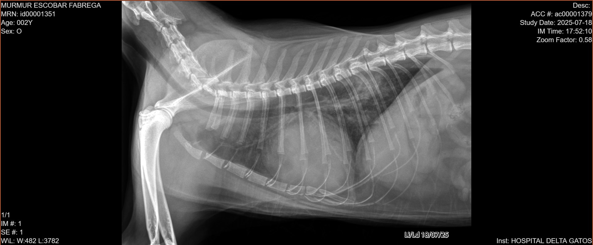 Murmur's Leg Surgery and Heart Treatment campaign photo, 4 of 8
