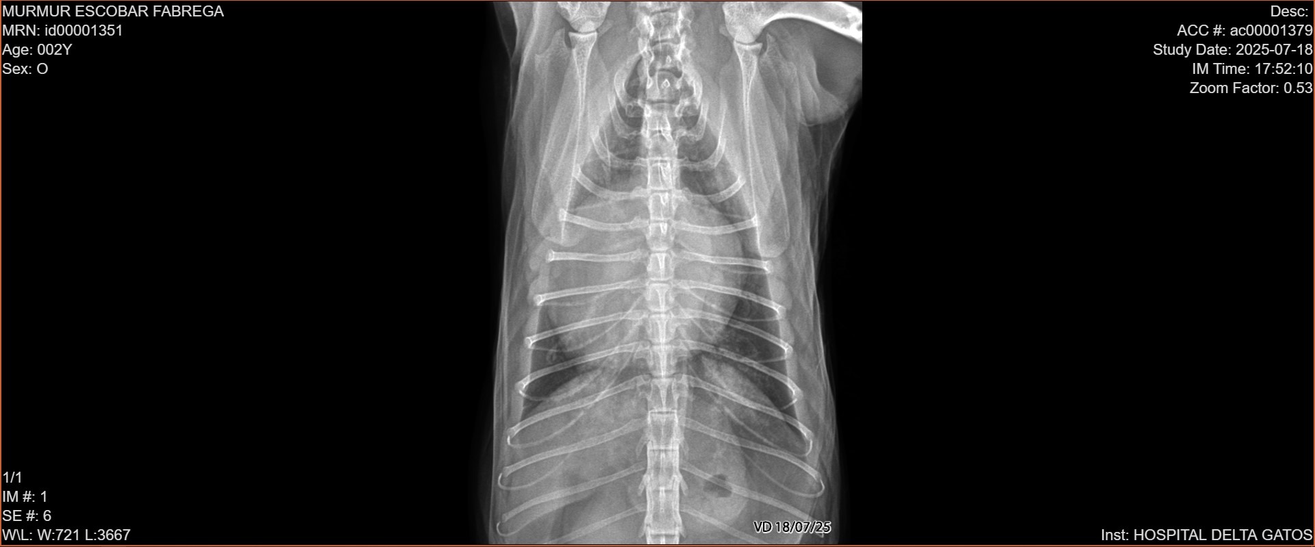 Murmur's Leg Surgery and Heart Treatment campaign photo, 6 of 8