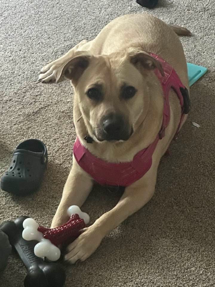 Our Loss: Meadow's Farewell campaign photo, 2 of 8