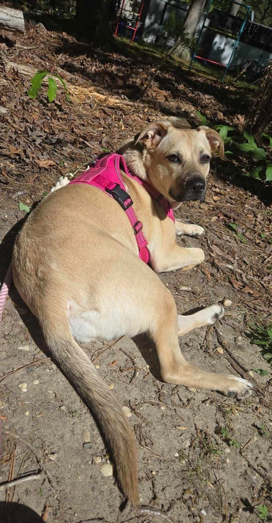 Our Loss: Meadow's Farewell campaign photo, 4 of 8