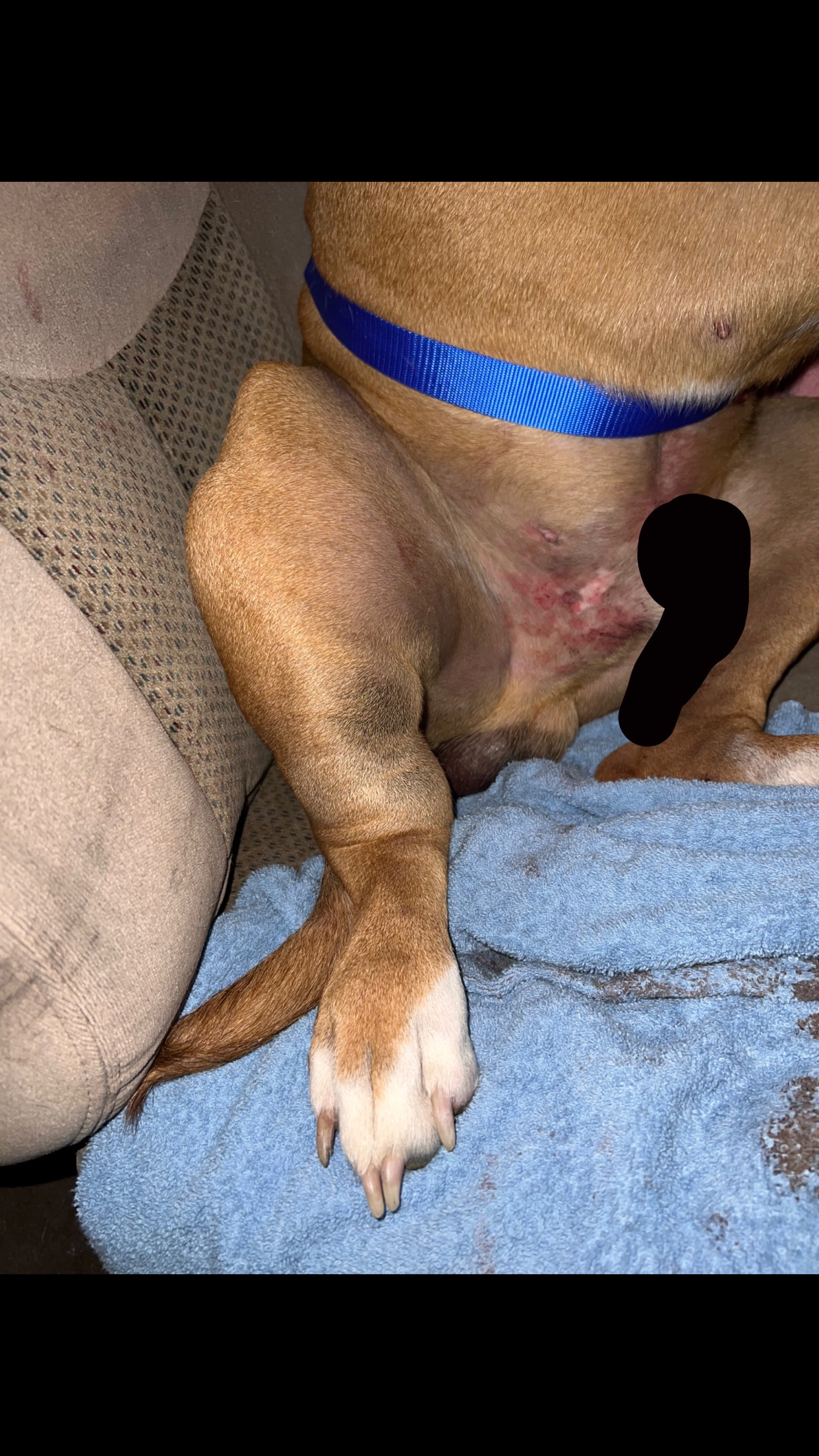Support Aiden's Life-Saving Surgery campaign photo, 2 of 8