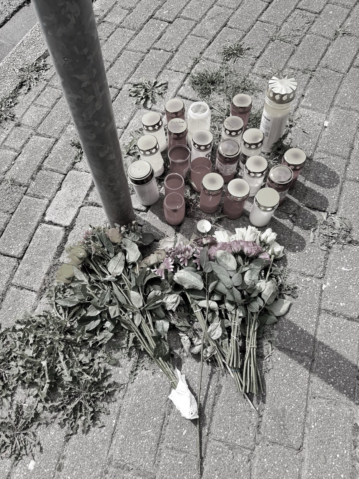 Vom Nutzer hochgeladenes Bild 2