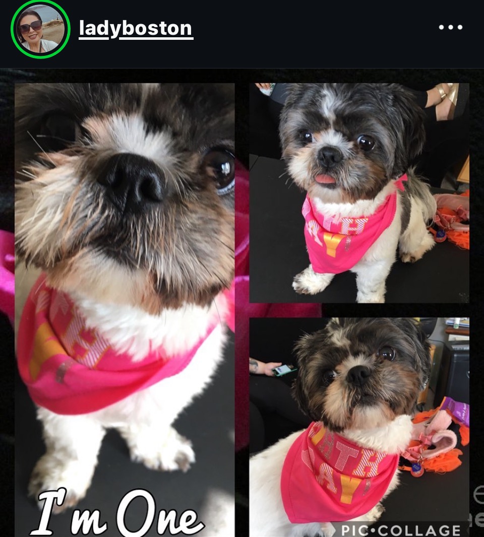 Ladybelle's Medical Emergency: Please help campaign photo, 2 of 8