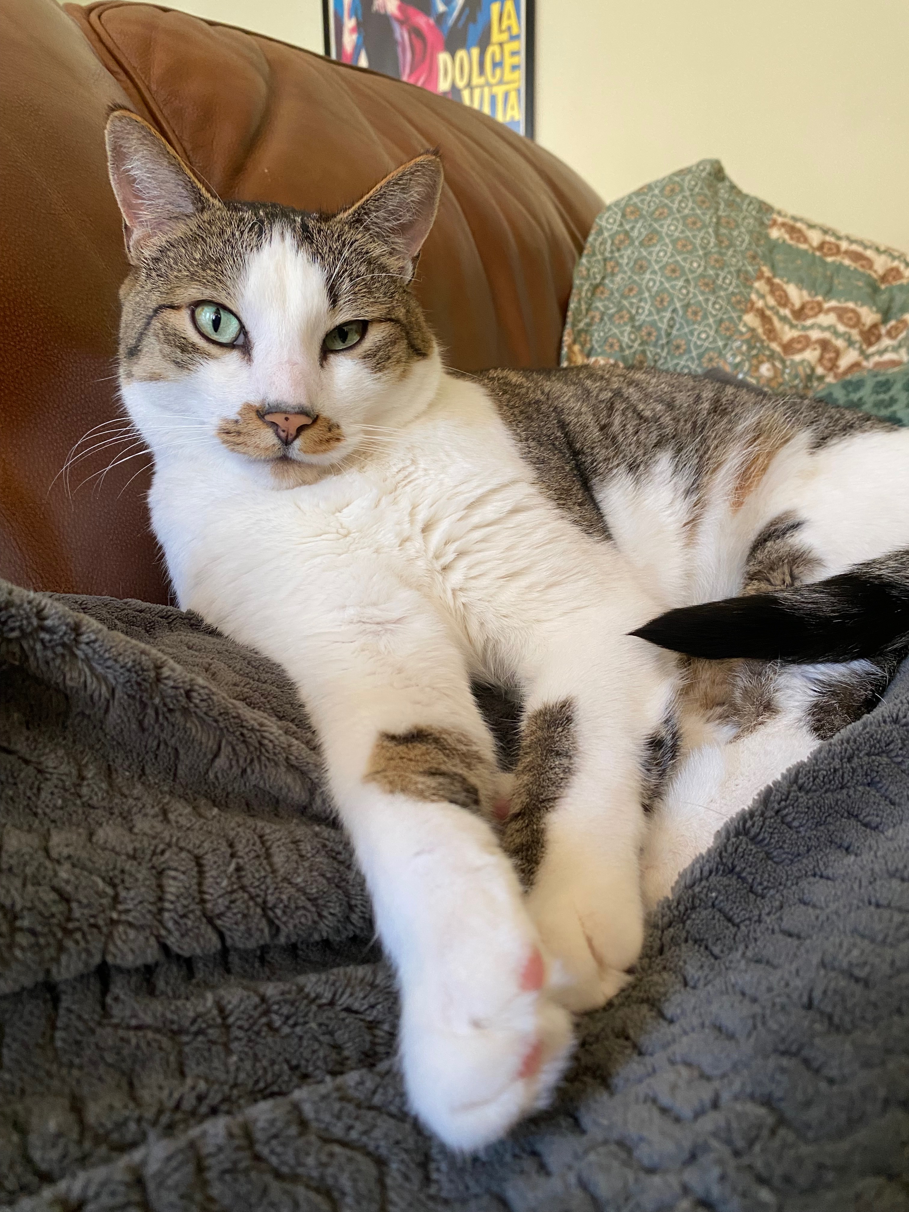 User-uploaded image 1