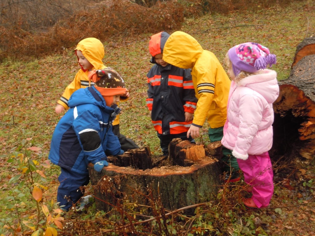 Jack's Eagle Project: Revive Tanglewood Music Classroom campaign photo, 2 of 4