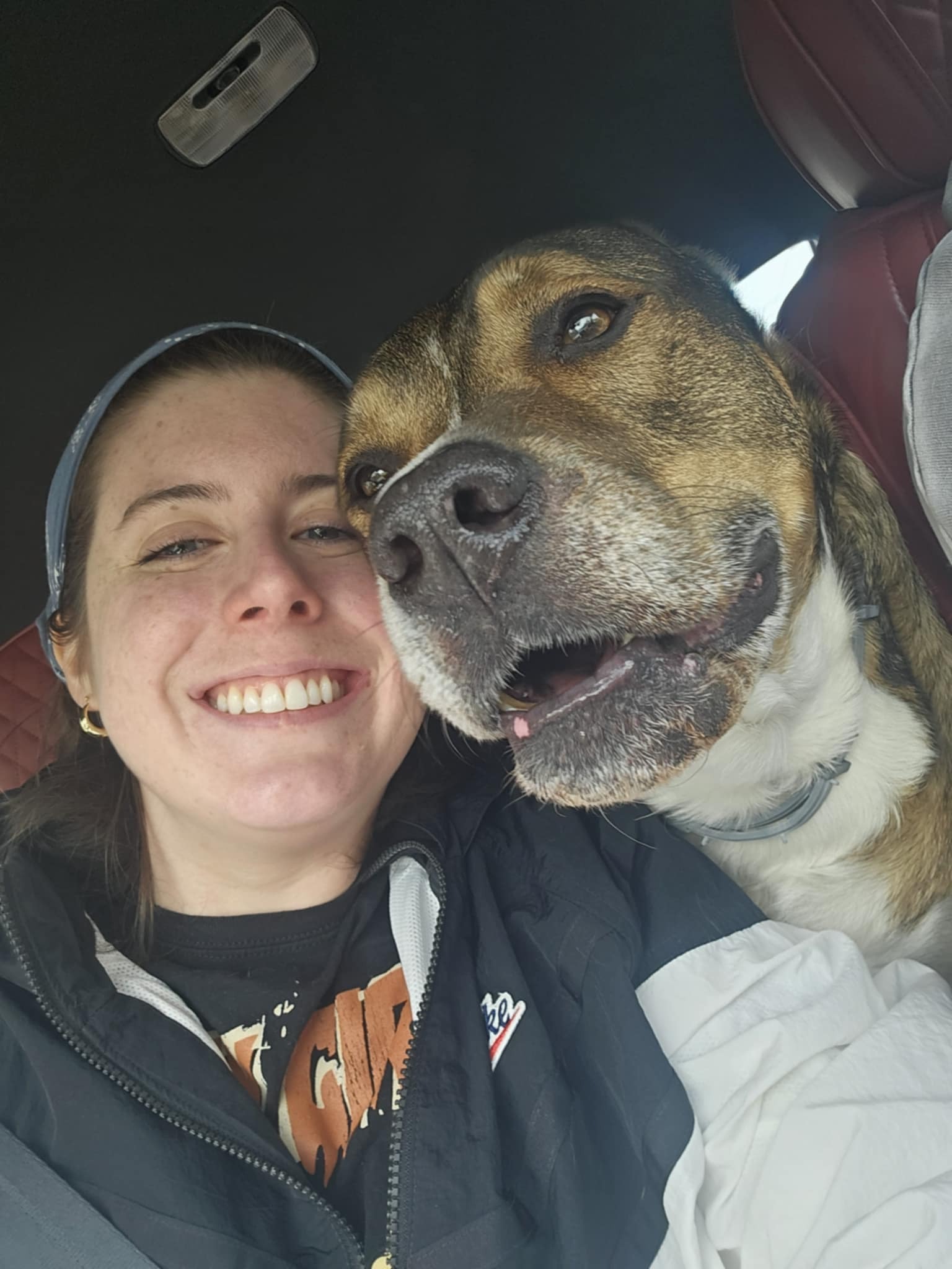 Help Buddy Walk Again: TPLO Surgery for the Gentle Giant campaign photo, 4 of 8
