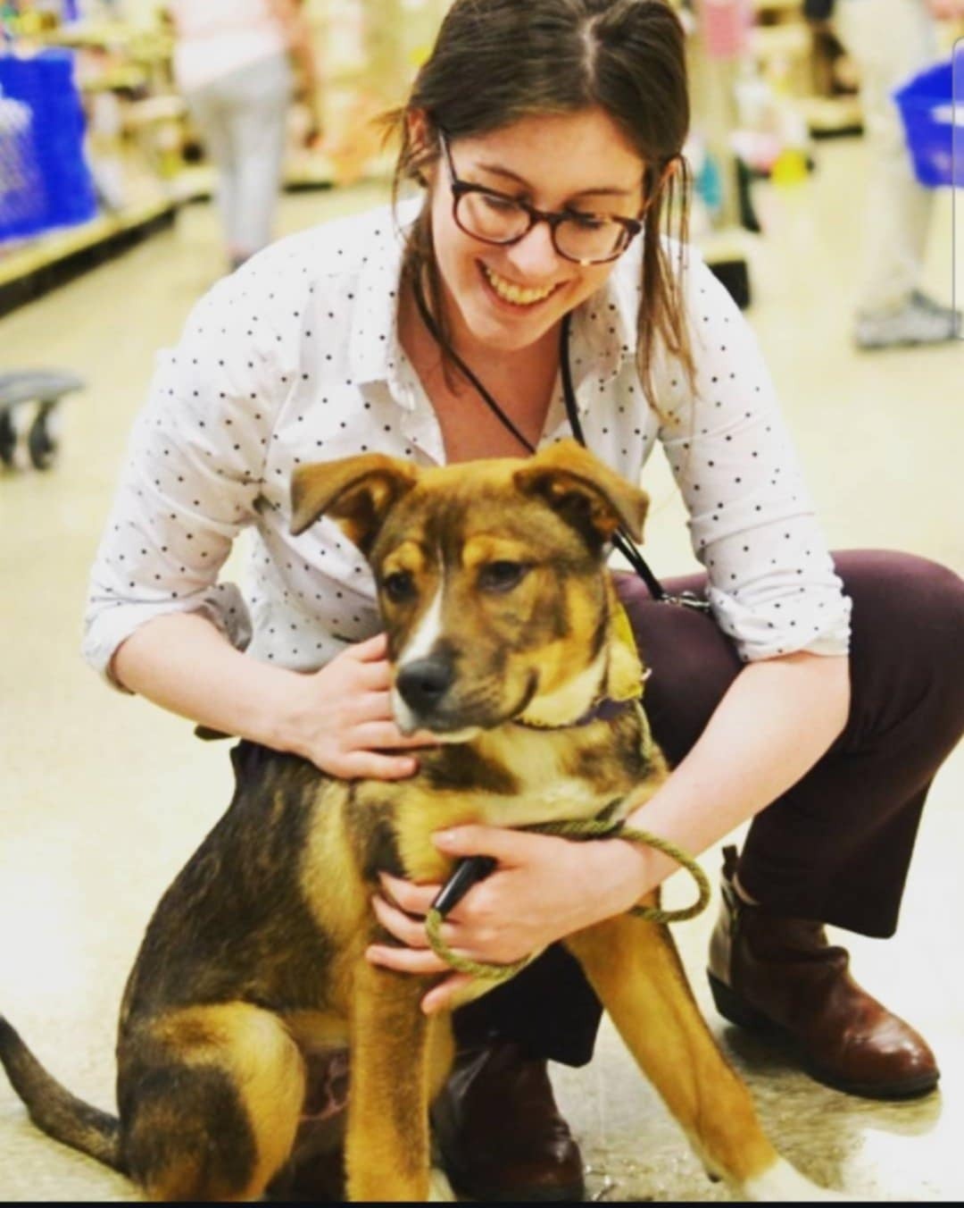 Help Buddy Walk Again: TPLO Surgery for the Gentle Giant campaign photo, 5 of 8