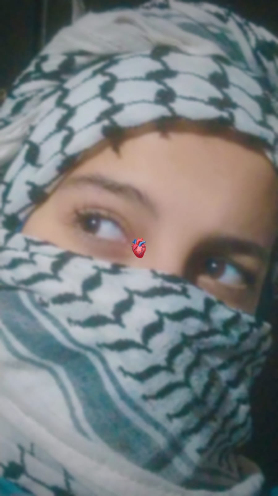 Stand with Aisha: A Sister’s Fight for Survival campaign photo, 2 of 6