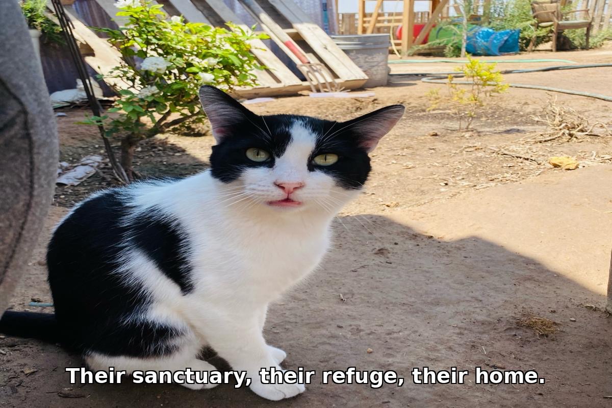 Help Us Protect Our Sanctuary from a New Danger campaign photo, 2 of 4