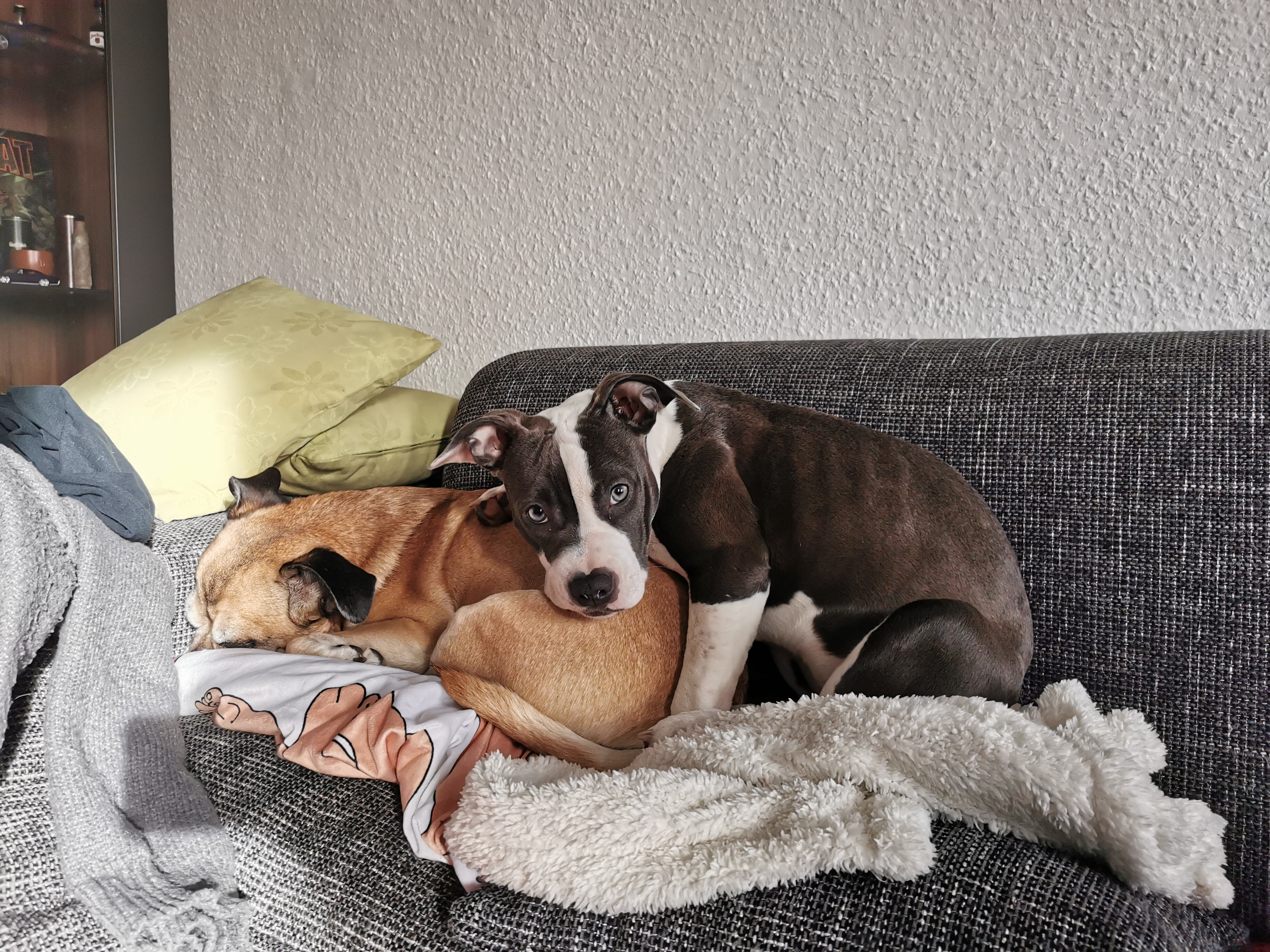 Hilfe für unsere kleine Elli campaign photo, 4 of 6