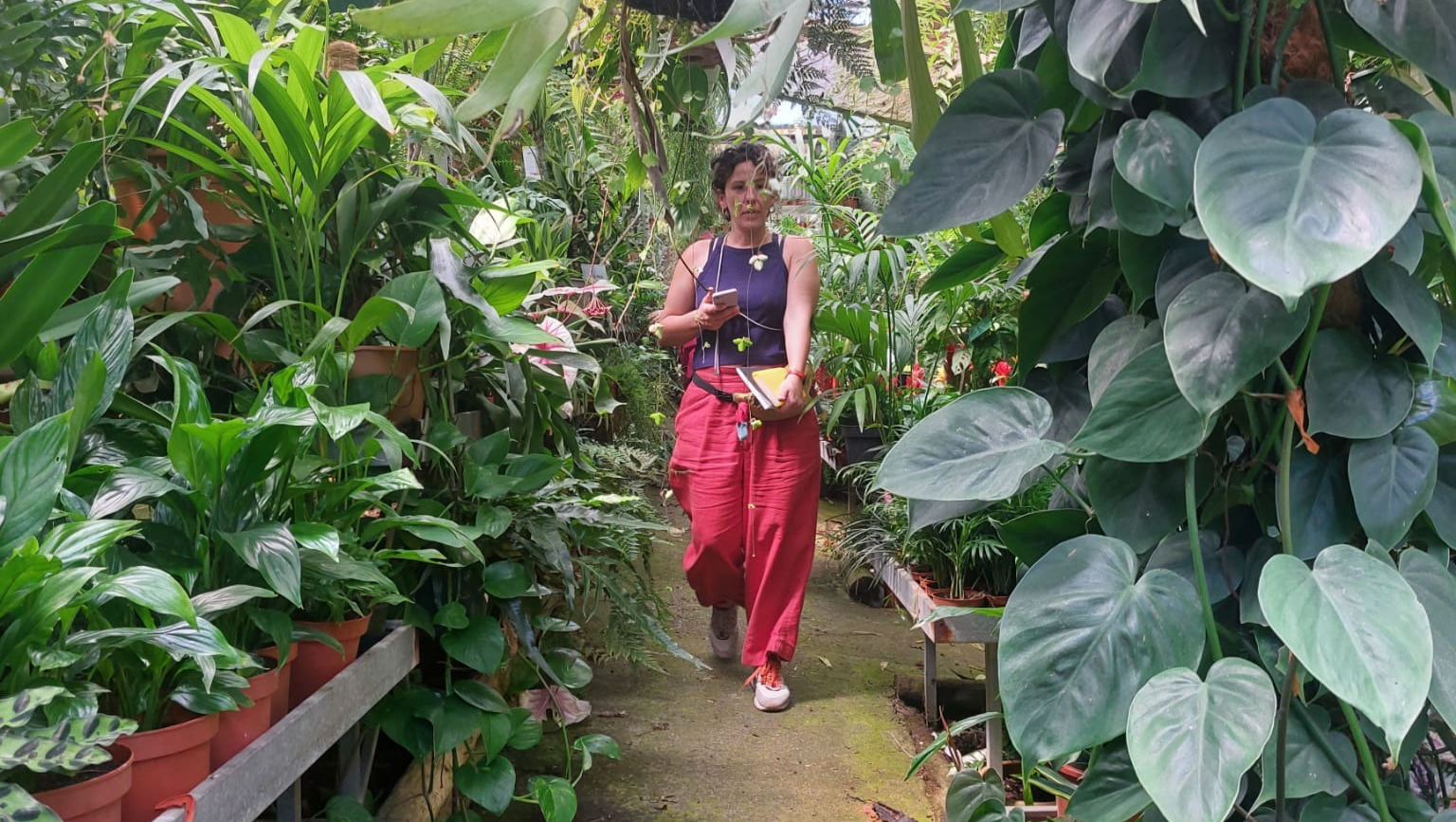Reviving Life Through Soil: A Tiny Garden with a Big Purpose