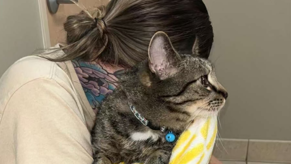 Save Muffin: Donate to his Life Saving Measures photo