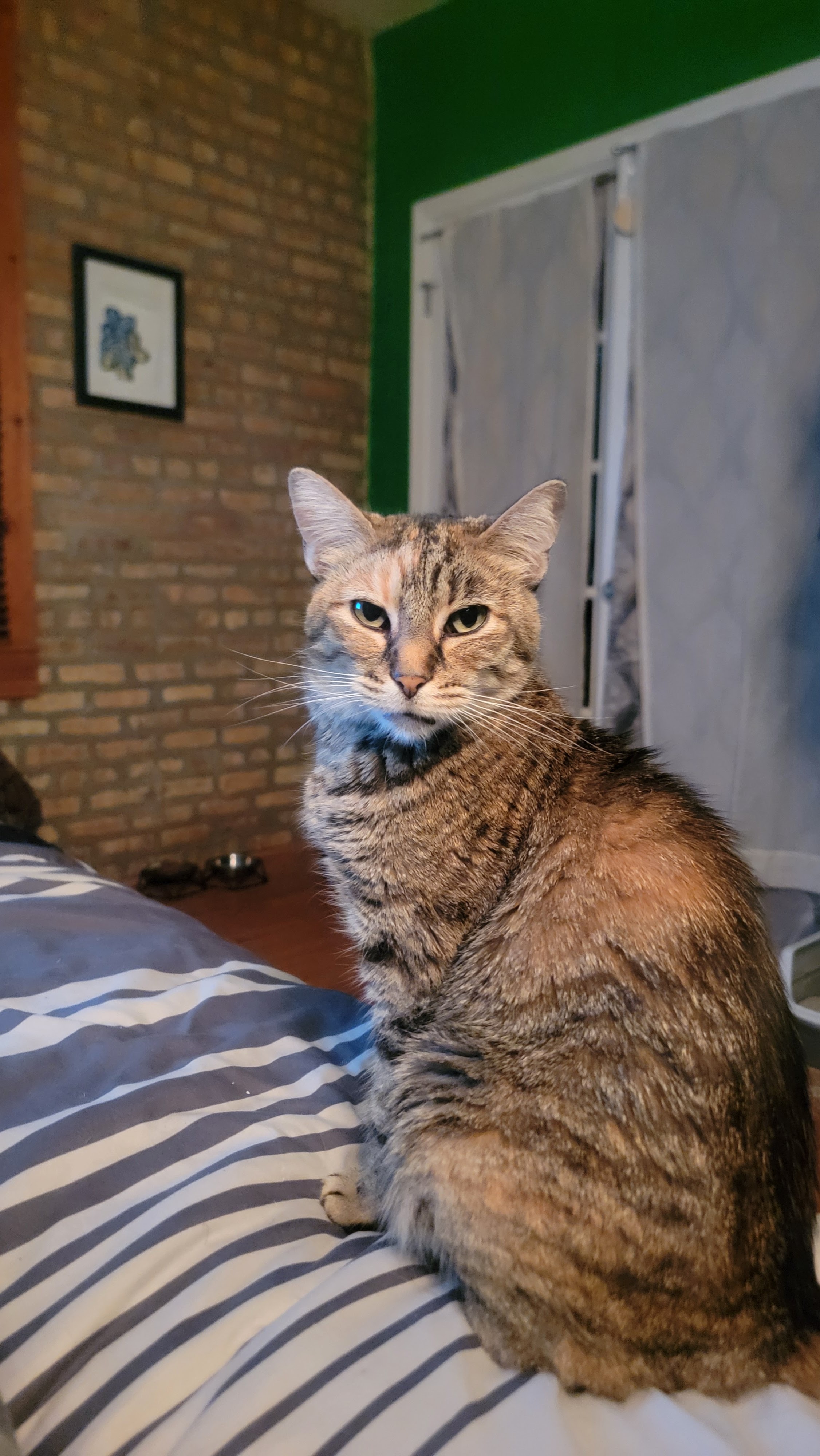 Support RaJa's Urgent Dental Surgery campaign photo, 2 of 5