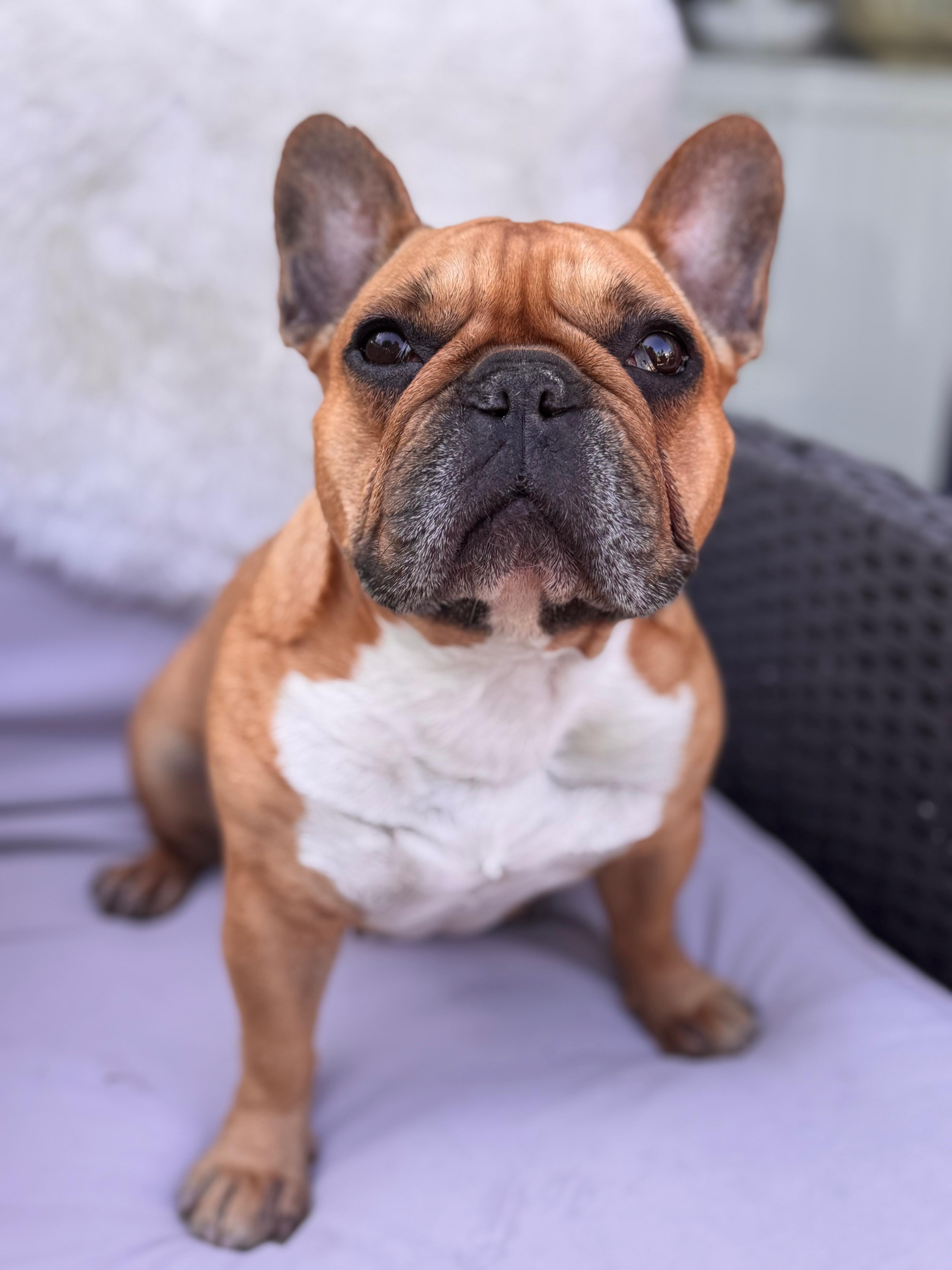 Hilfe für Ivy – Sie kämpft und wir geben nicht auf! campaign photo, 5 of 7