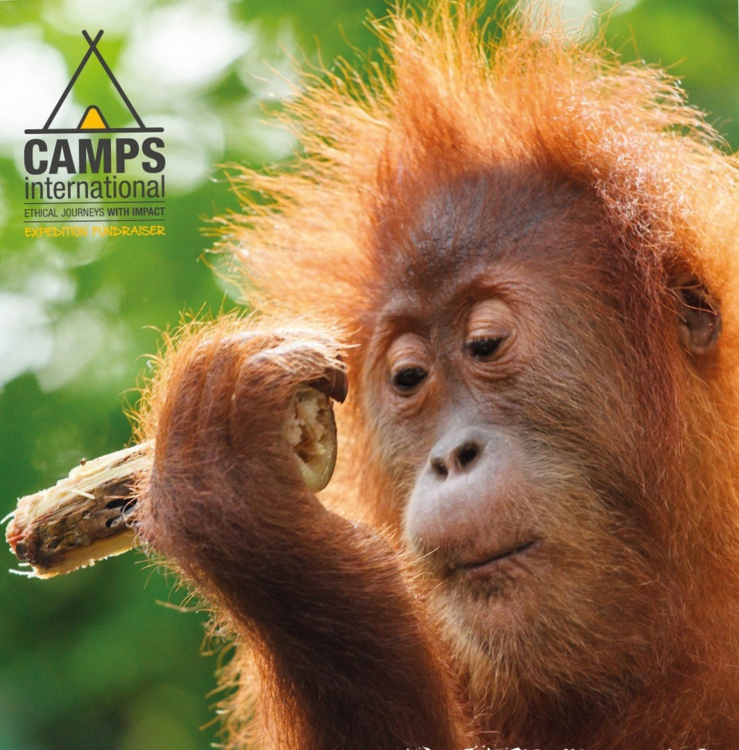 Borneo Expedition Fundraiser campaign photo, 2 of 6
