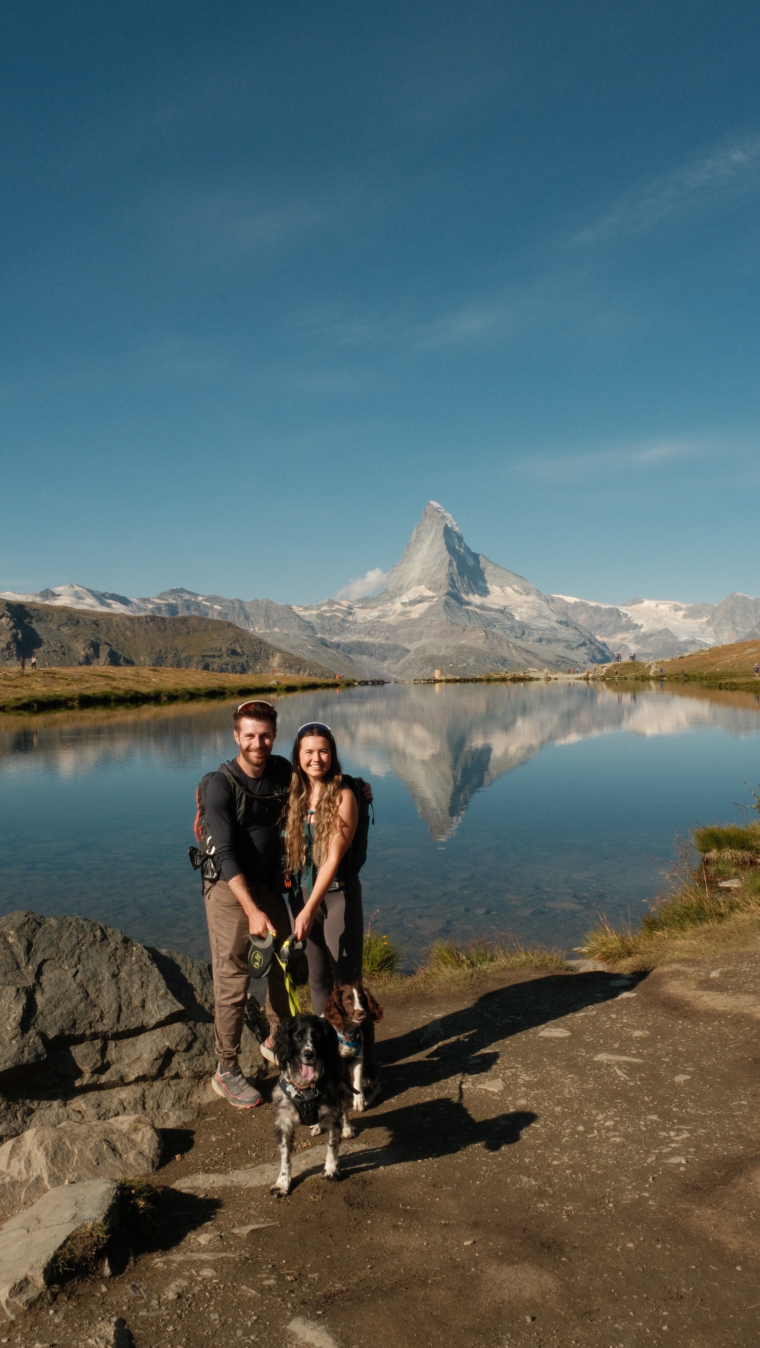 Keep 4 year old Eiger running, even as his liver slows down campaign photo, 6 of 8