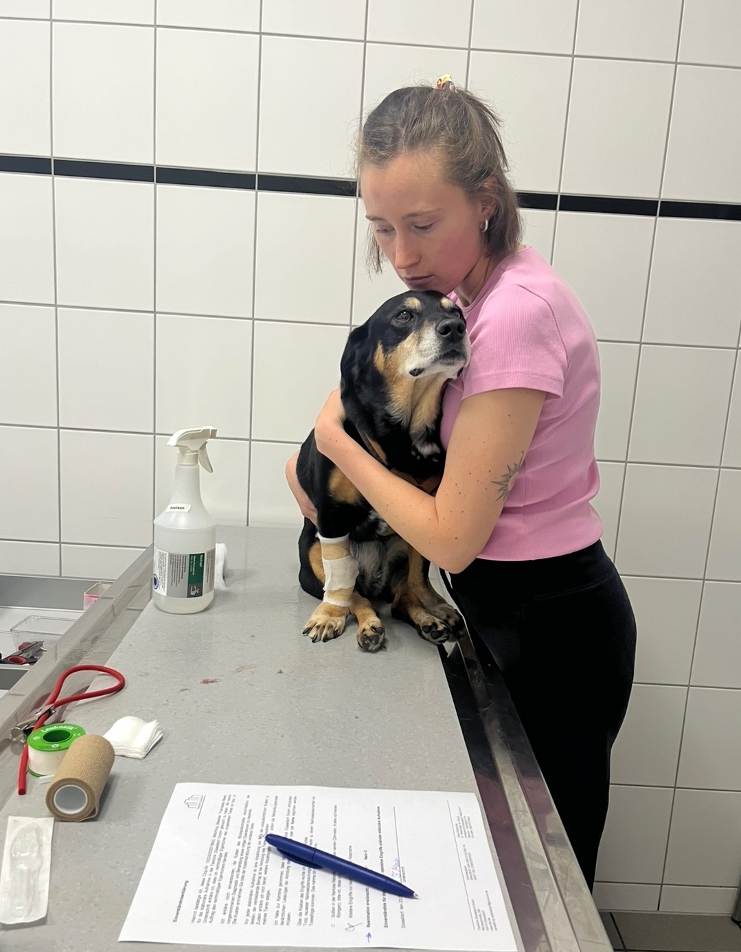 Zurück auf die Pfoten – Gemeinsam für Jessa campaign photo, 6 of 8