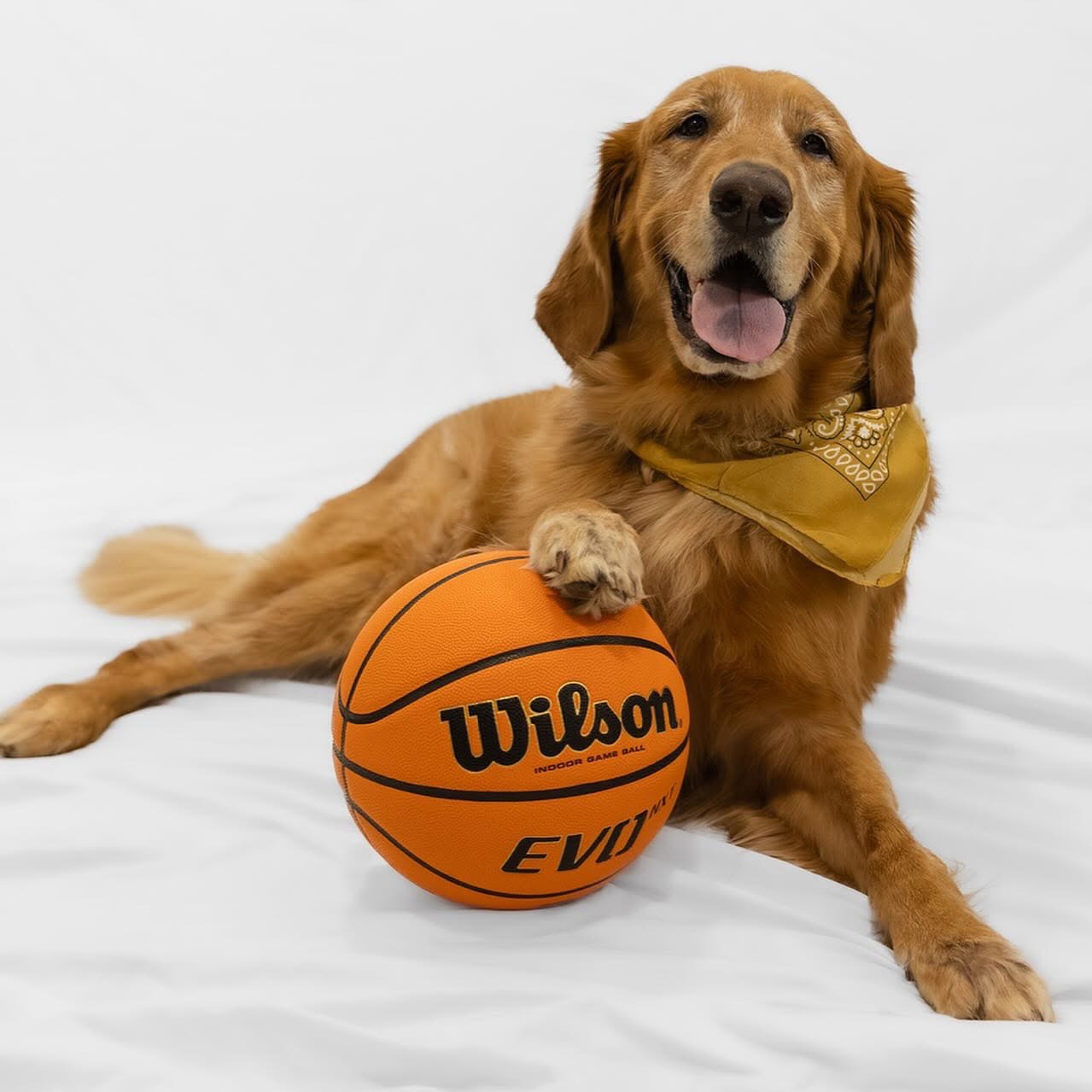 Bauer's Urgent Surgery: Bre Needs Our Help campaign photo, 2 of 8