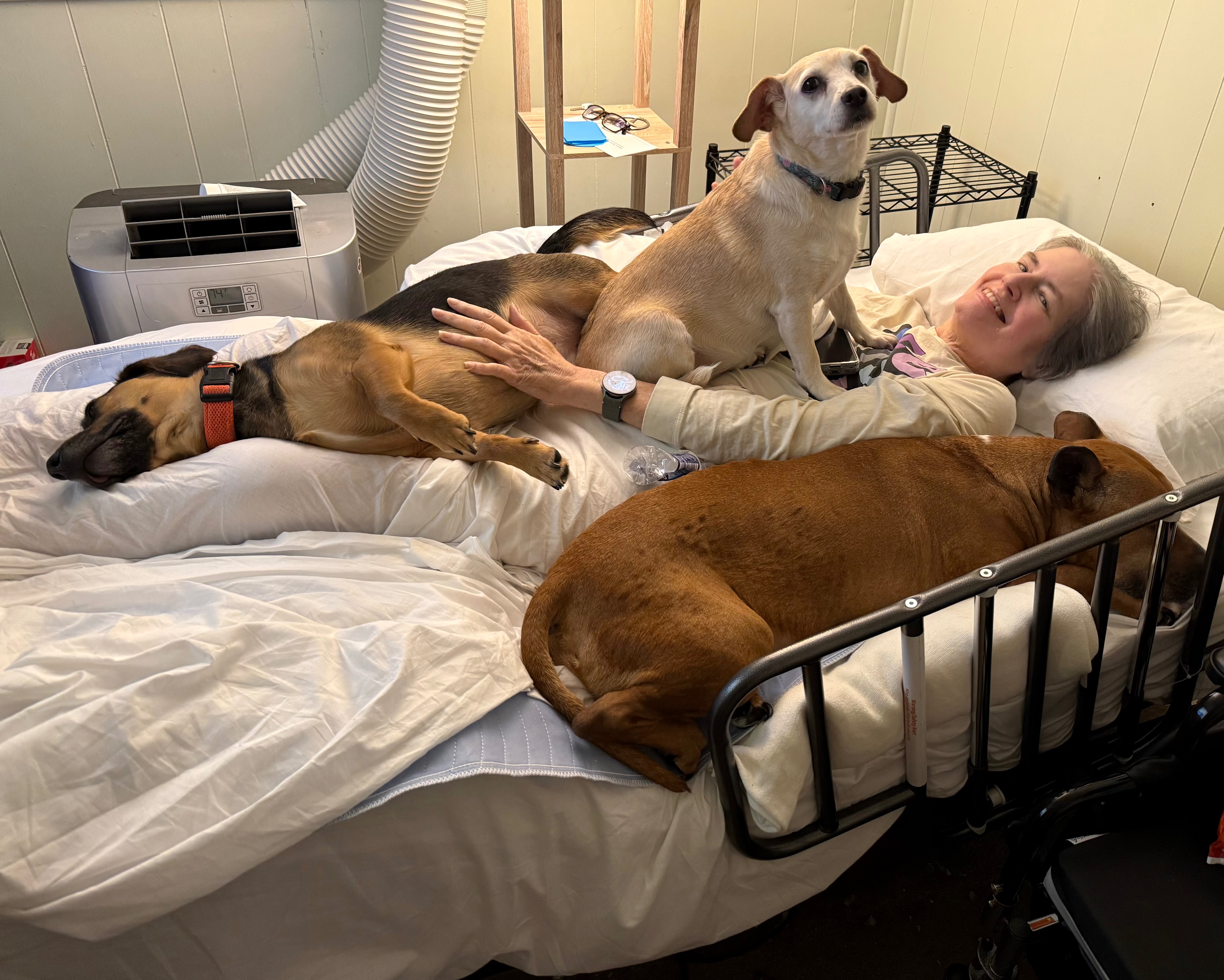 User-uploaded image 1