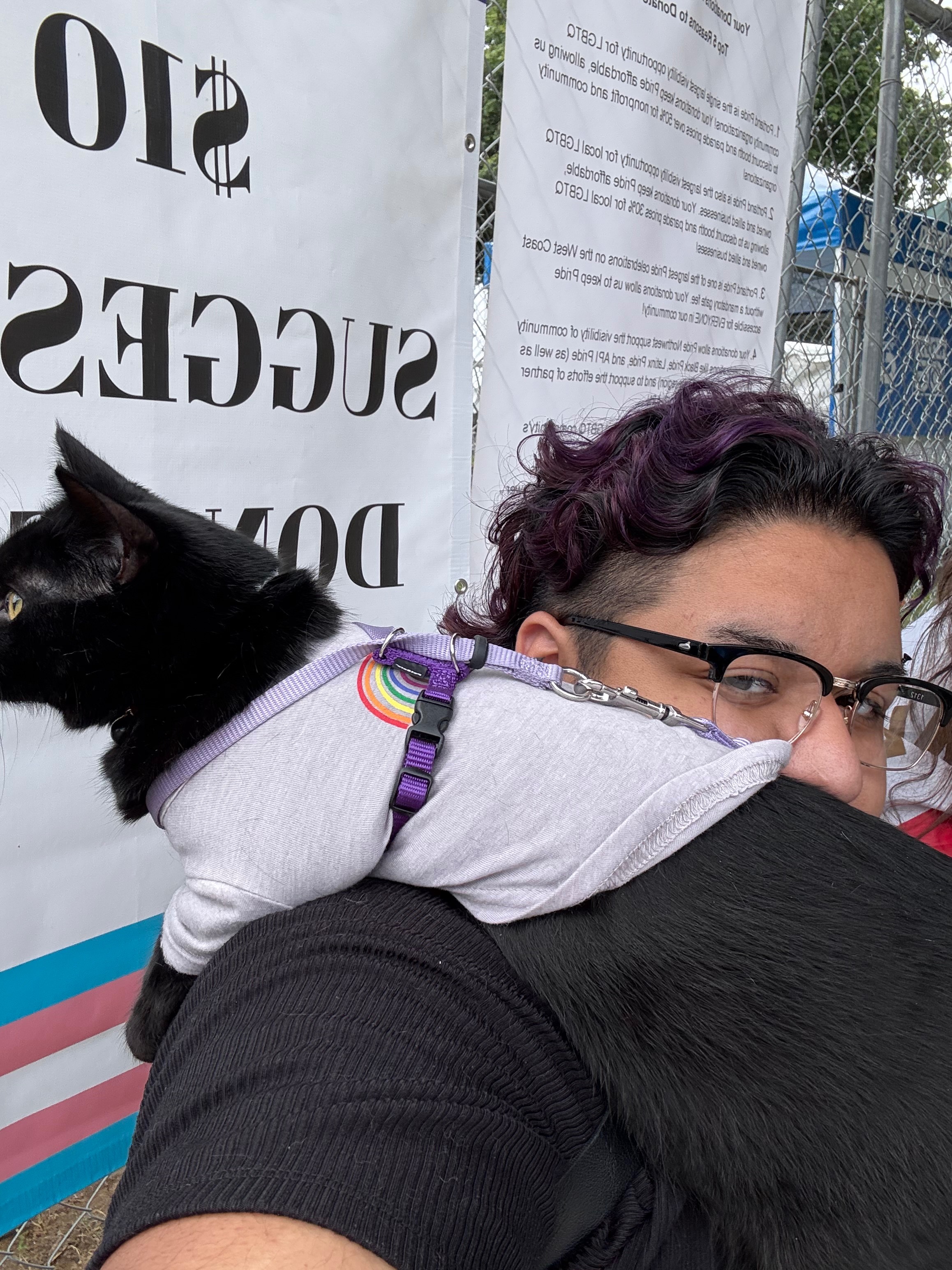 User-uploaded image 1