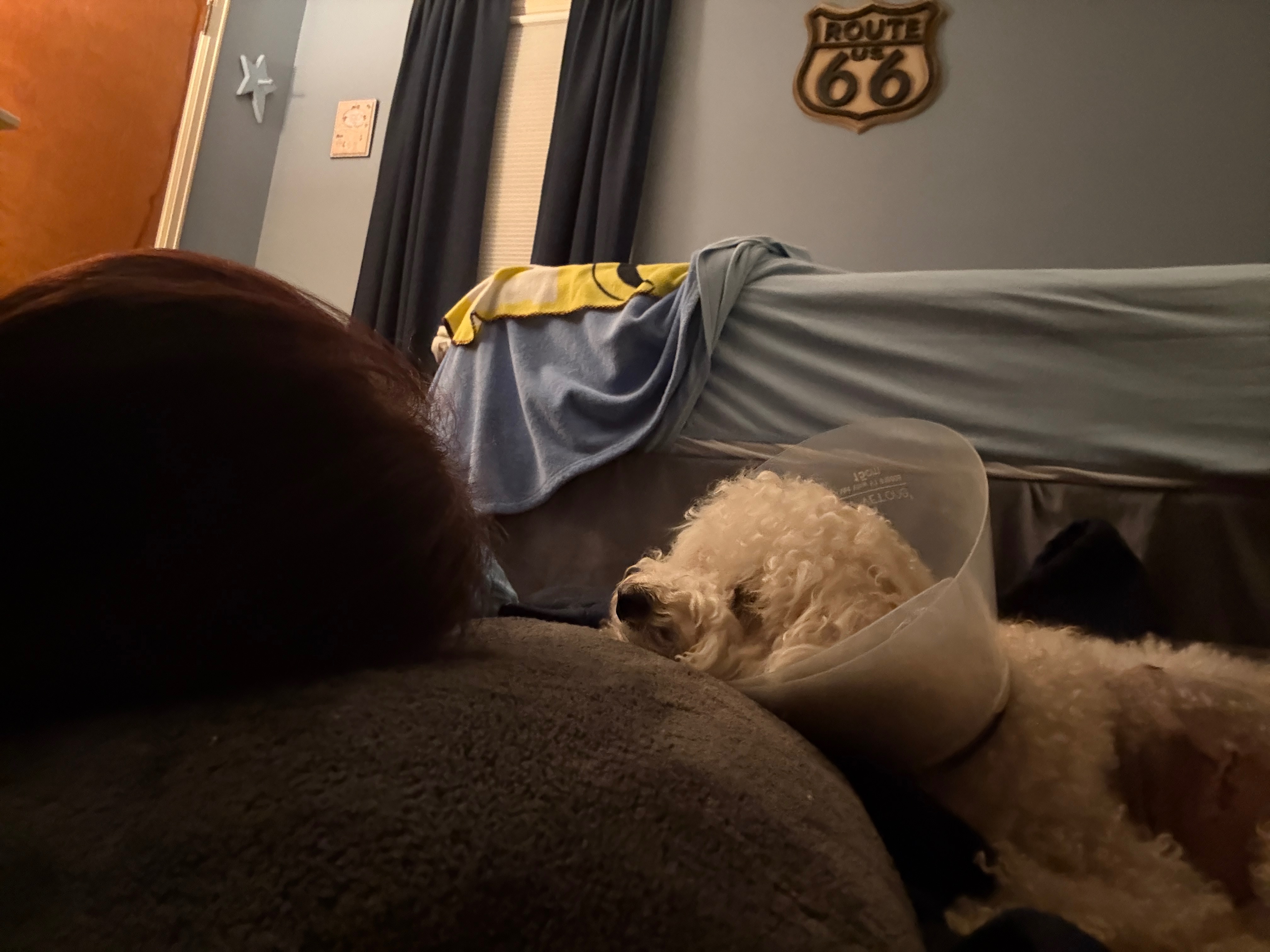 Aid for Kaitlyn's Dog's Recovery After Attack campaign photo, 7 of 8