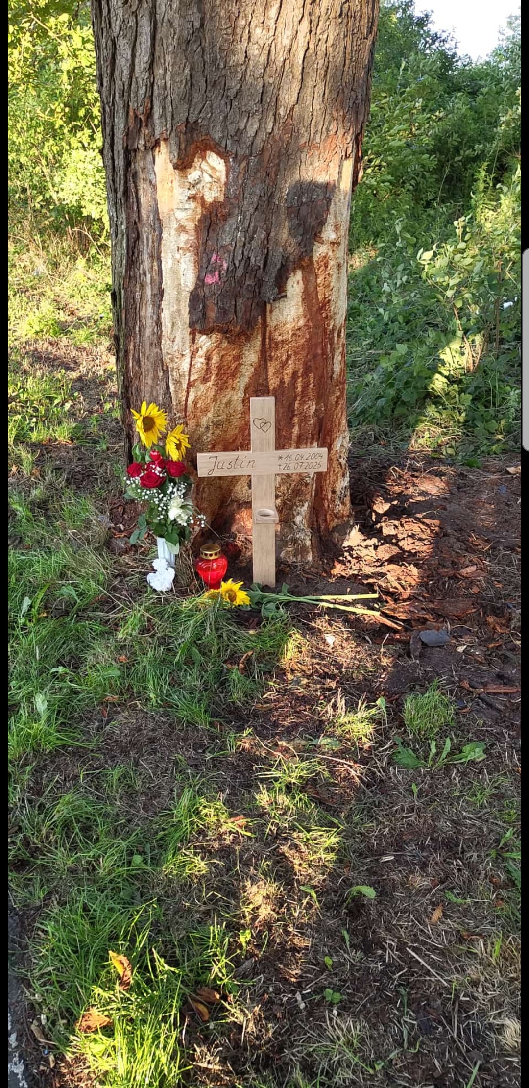 User-uploaded image 1