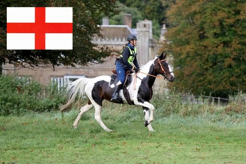 ‘Lady’ selected for England Team! campaign photo, 2 of 4
