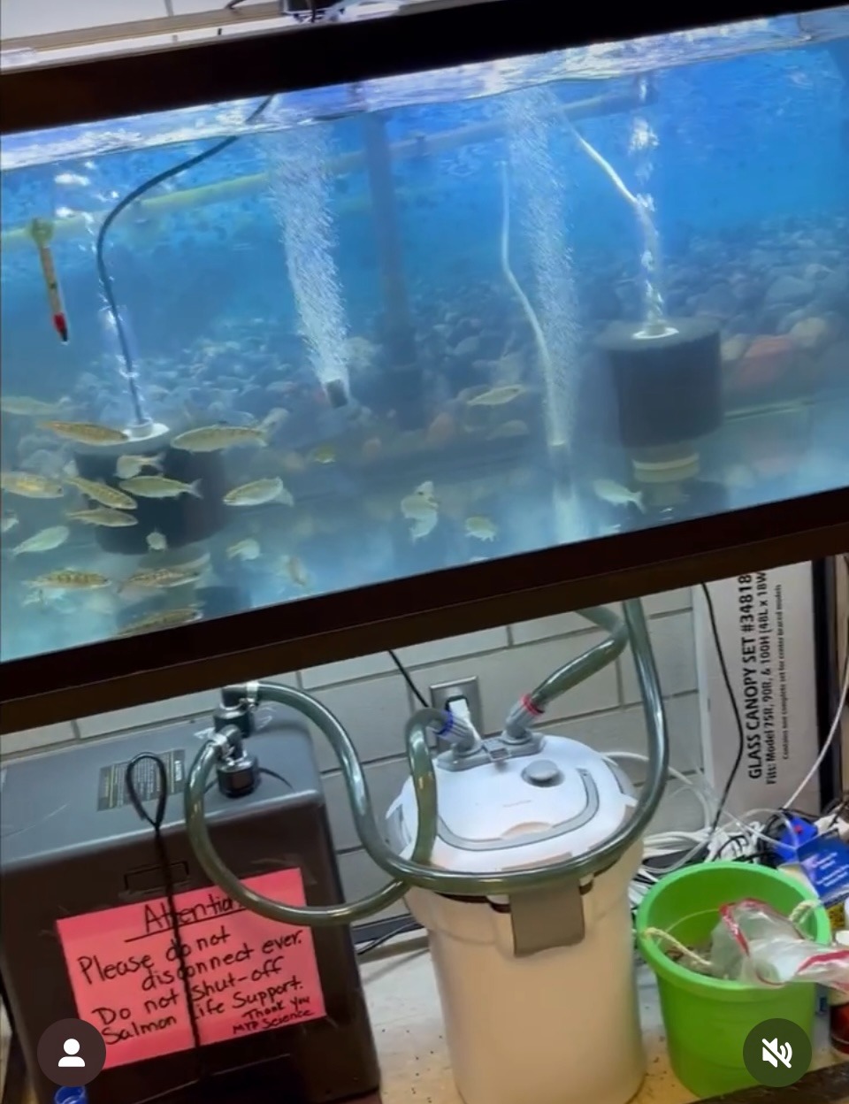 Fund Aquarium Equipment for Salmon In the Classroom Program campaign photo, 7 of 8