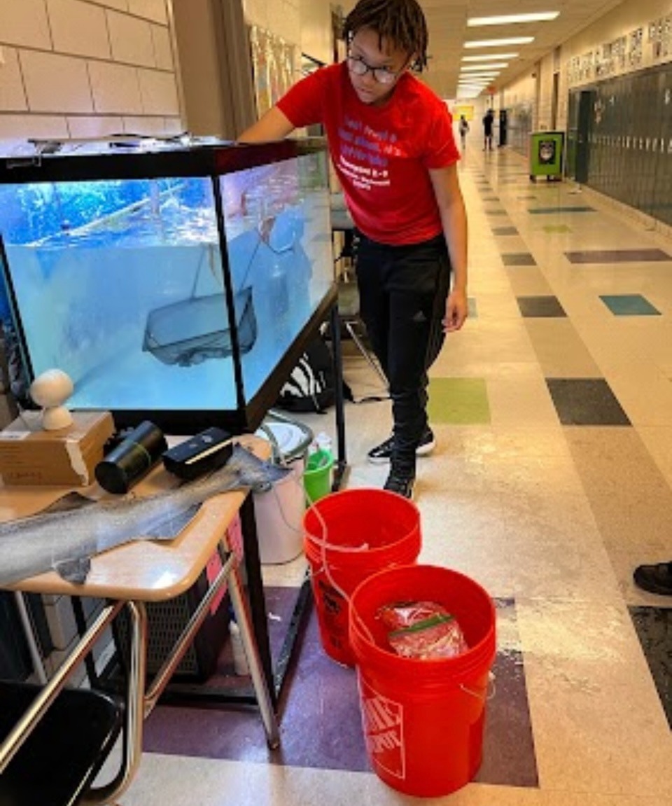 Fund Aquarium Equipment for Salmon In the Classroom Program campaign photo, 4 of 8