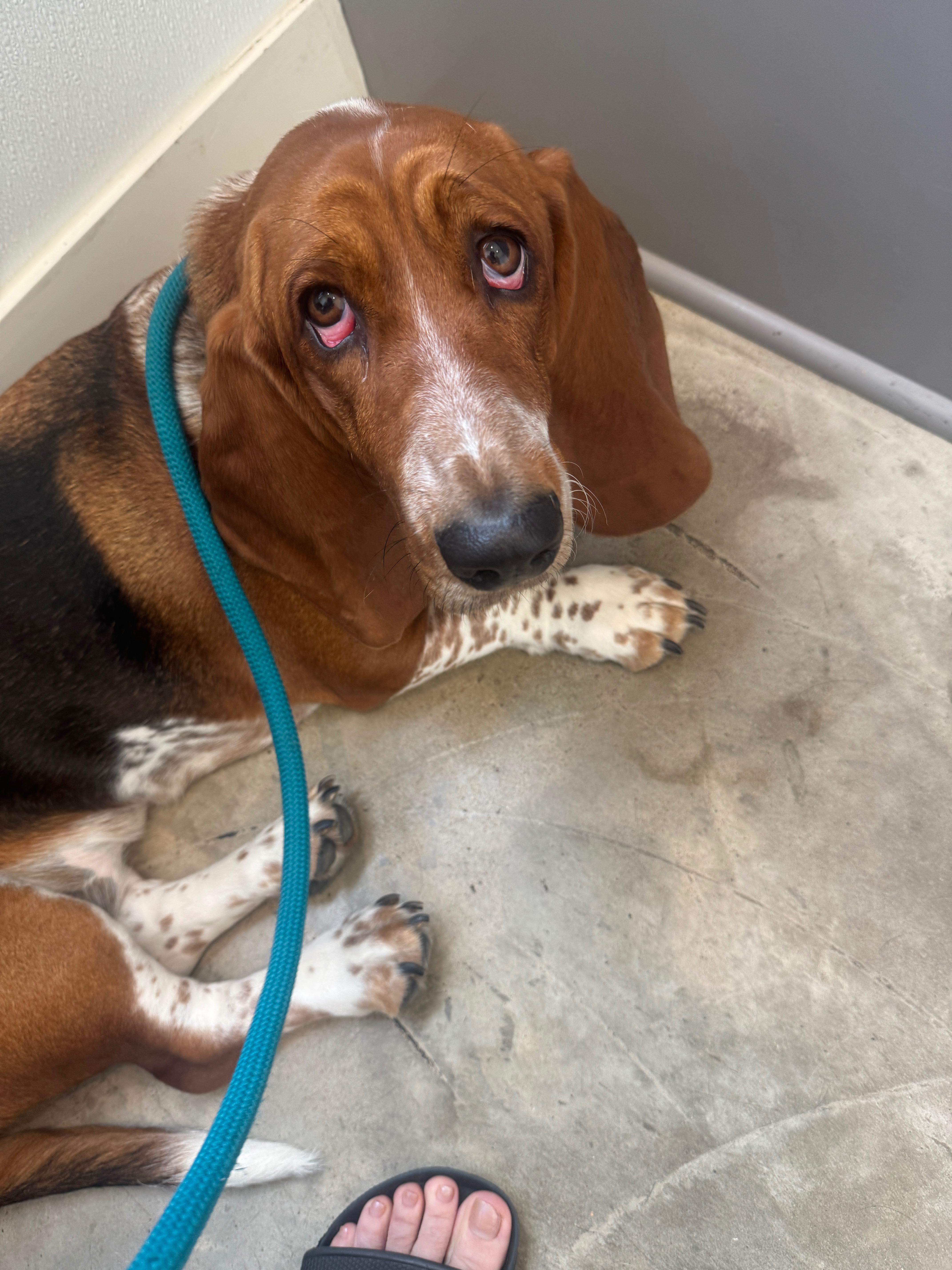 User-uploaded image 1